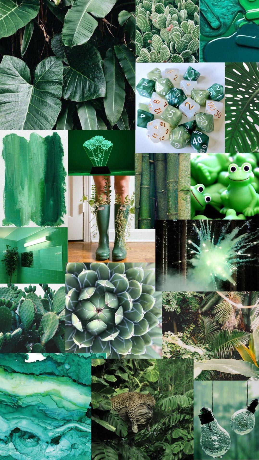 green aesthetic backgrounds