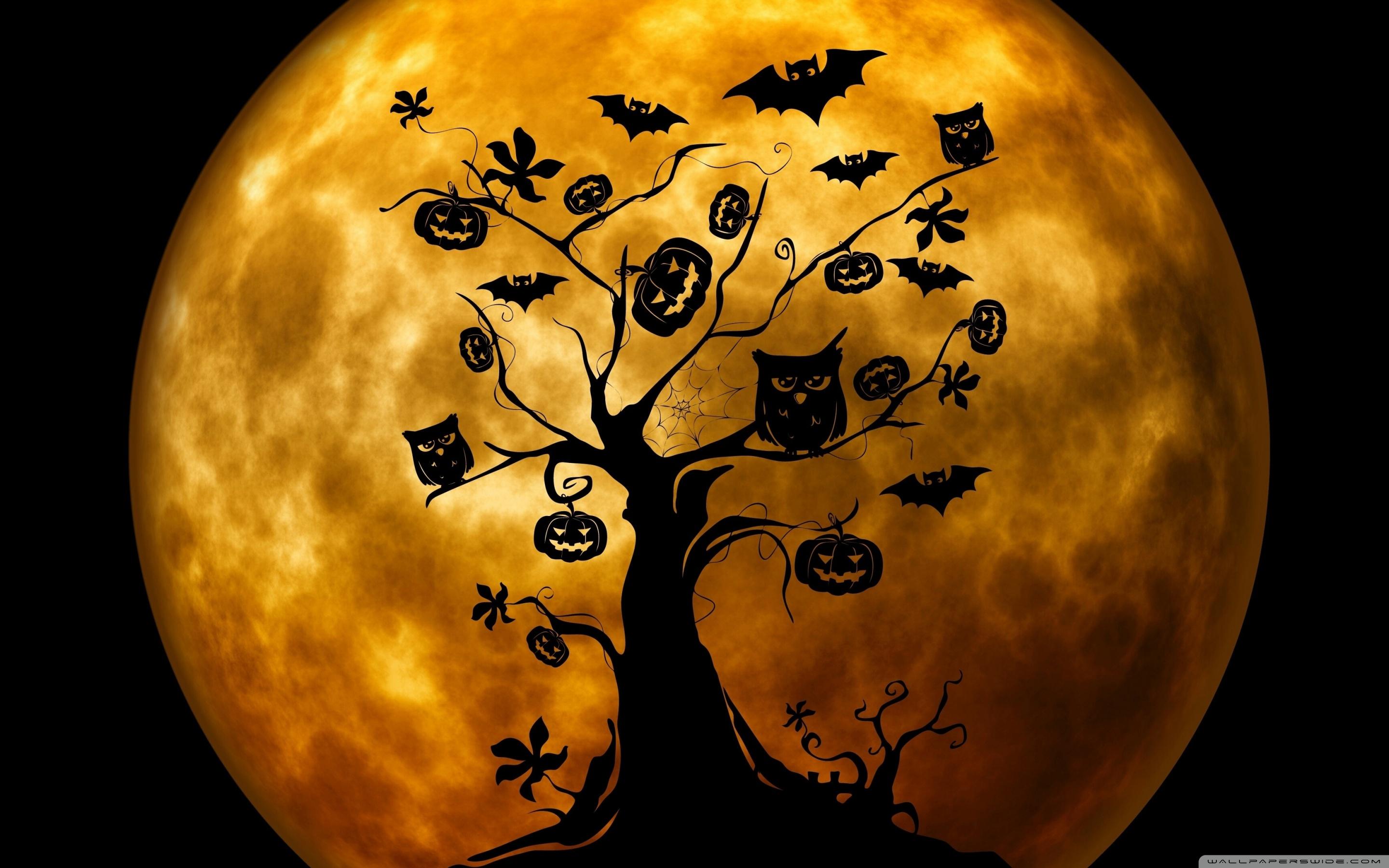Halloween Owls and Bats Orange ❤ 4K HD Desktop Wallpaper