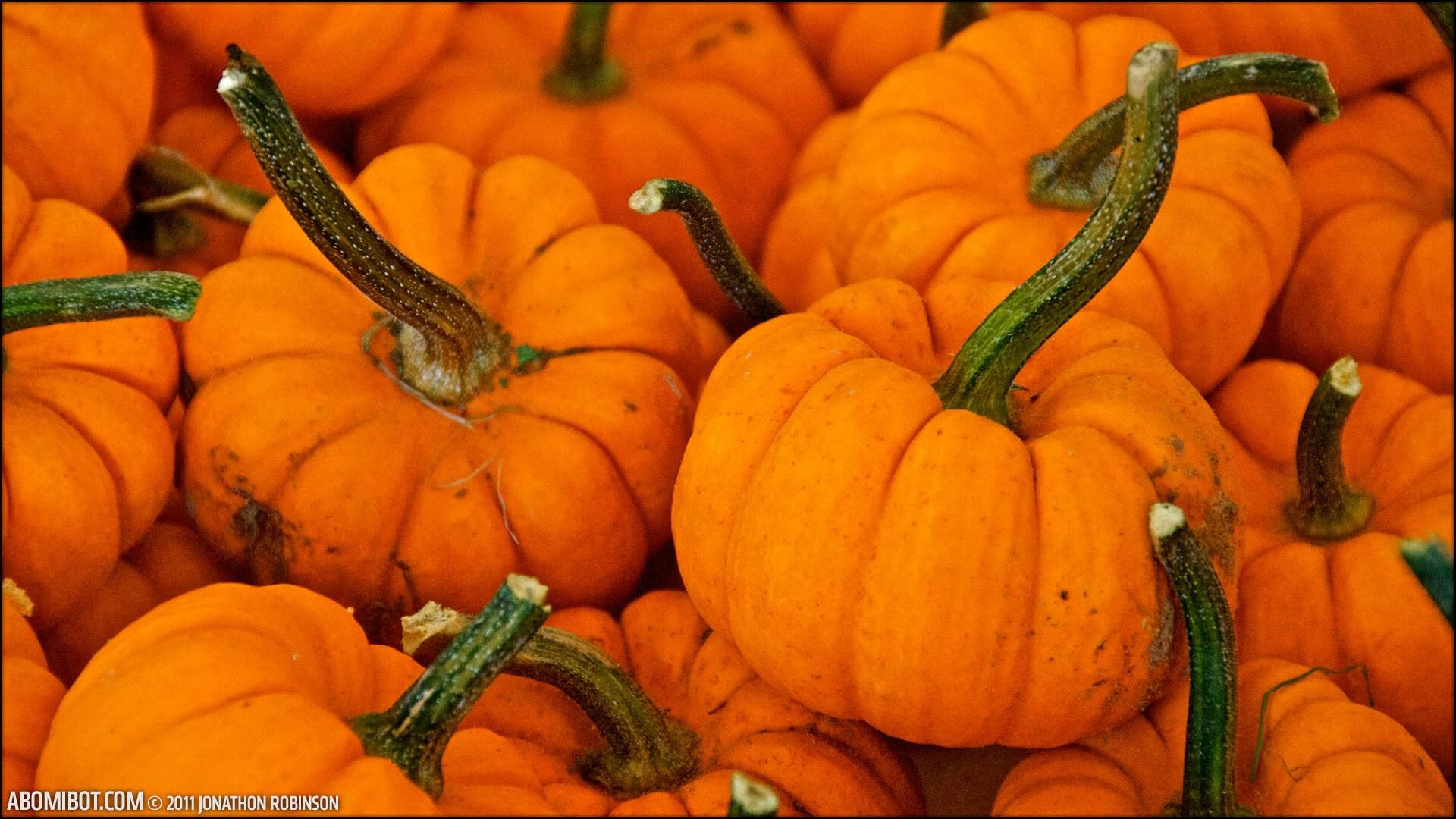 1920x1080 pumpkin fall halloween october orange