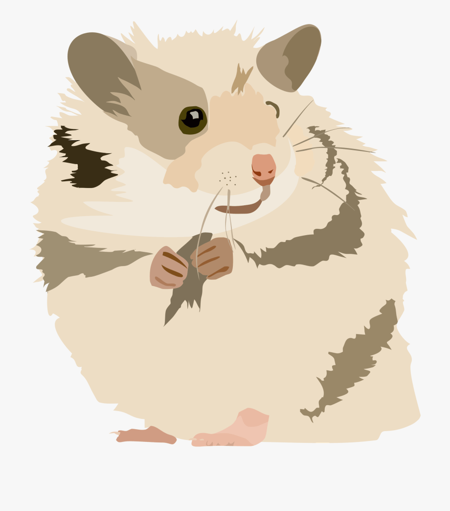 Hamster Ⓒ Clipart Png