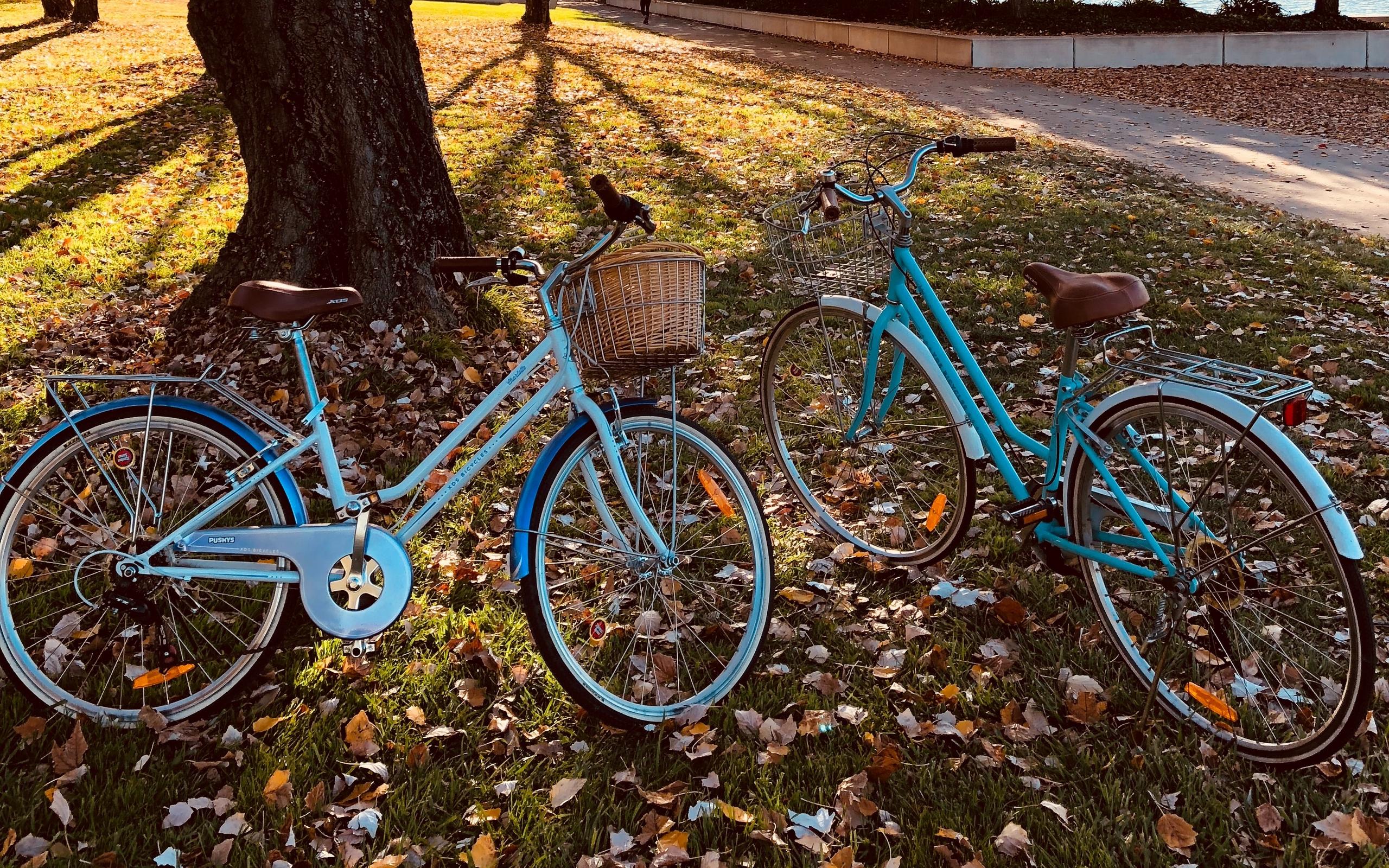 Download wallpaper 2560x1600 bicycles, autumn park, walk