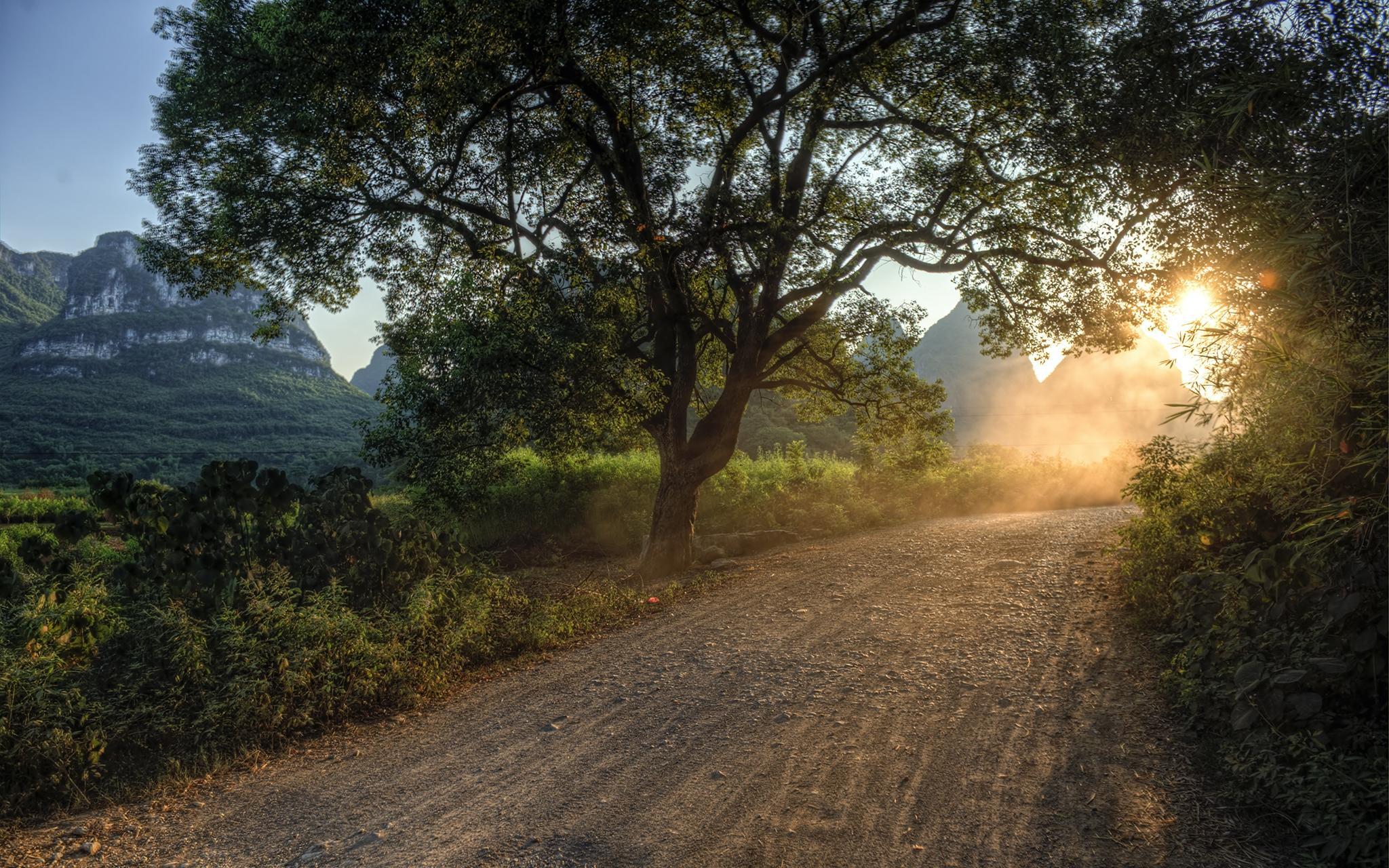 Download wallpapers 2048x1280 road, light, way, sun, trees