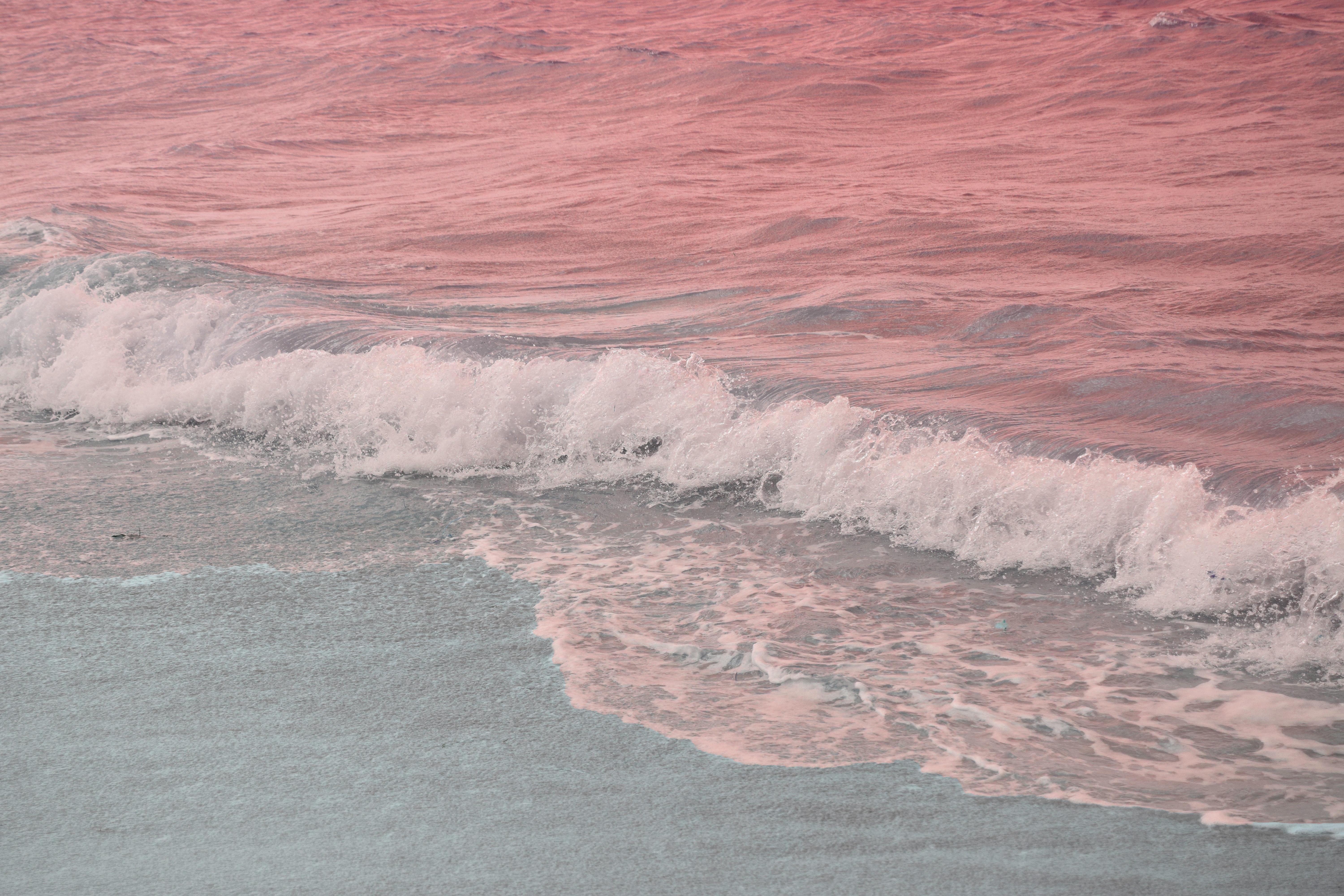Download Pink Shaded Water Sea Wallpapers Free For Laptop