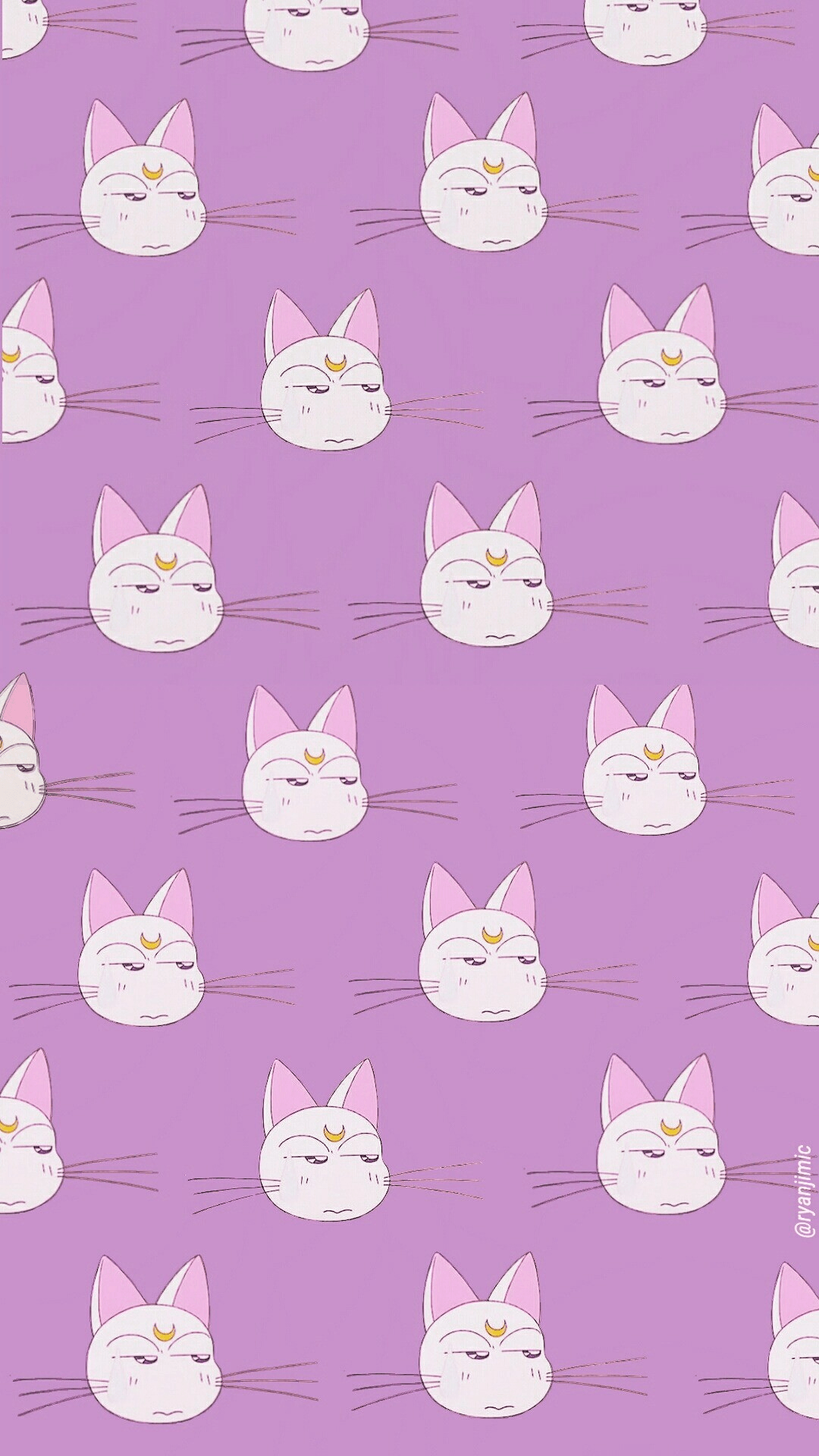 Cat Wallpaper Whatsapp