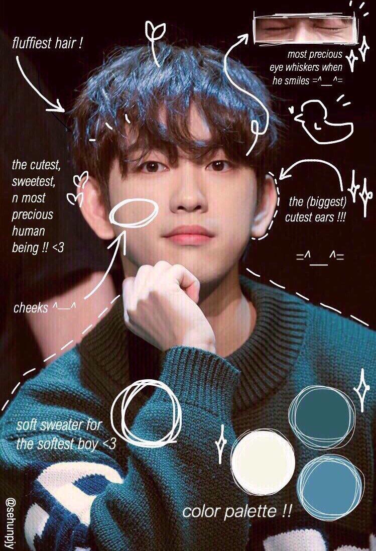 the little prince ♔