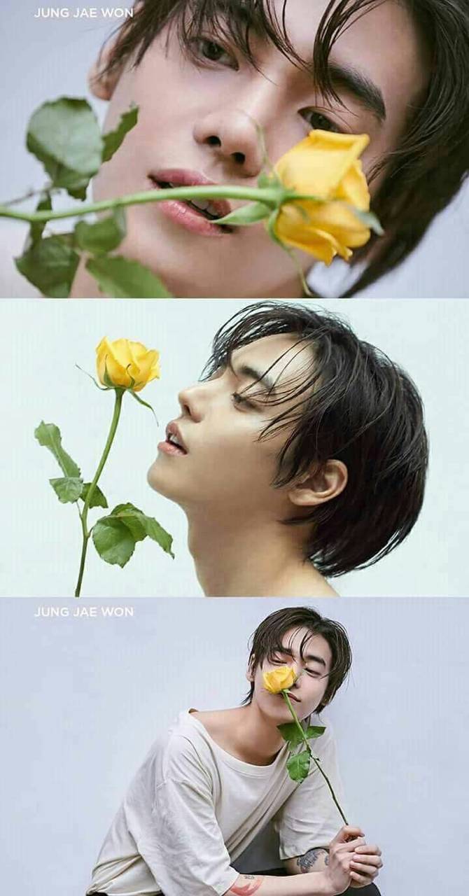 Jung jae won Wallpaper