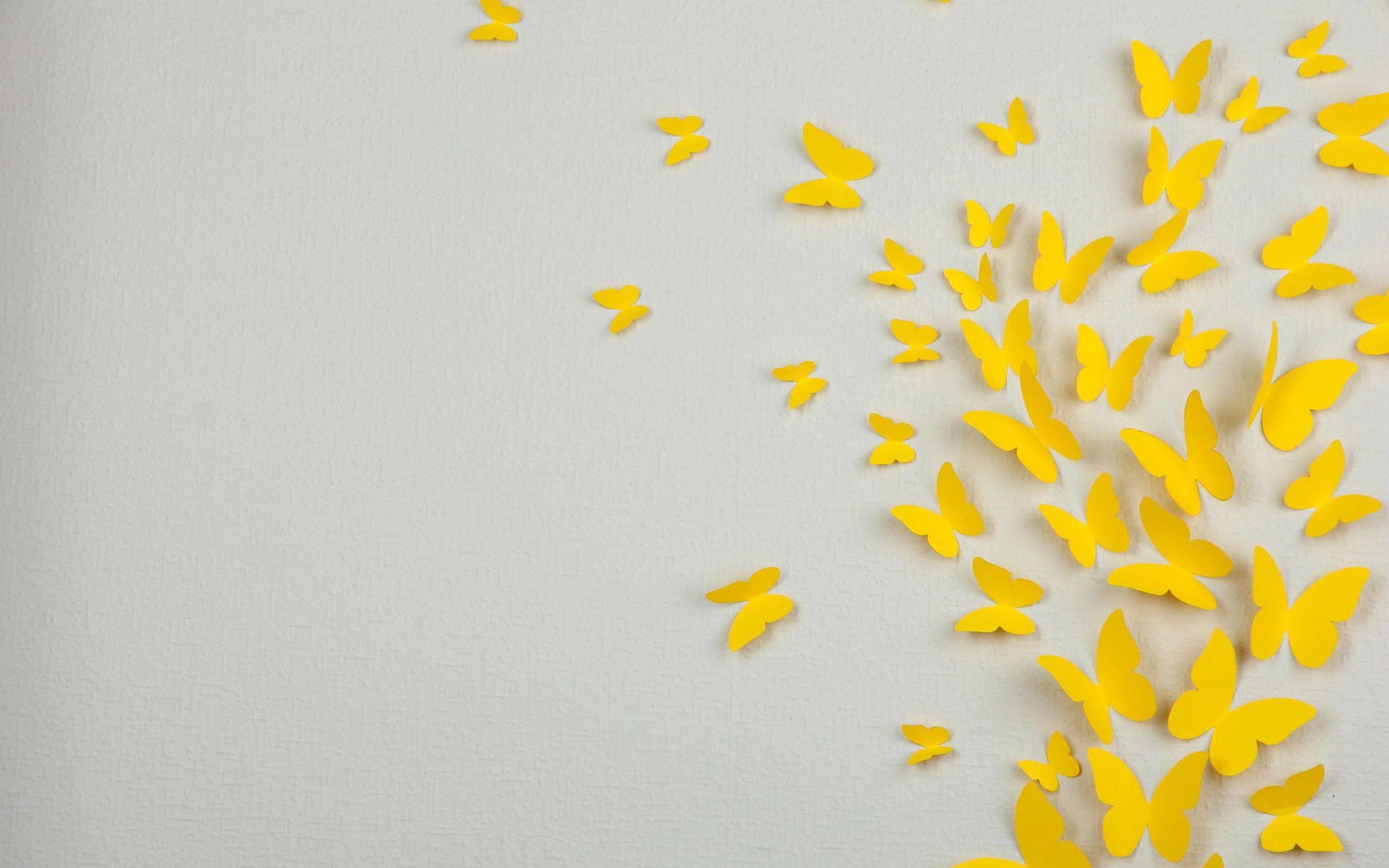 Yellow And White Wallpaper Group , Download for free