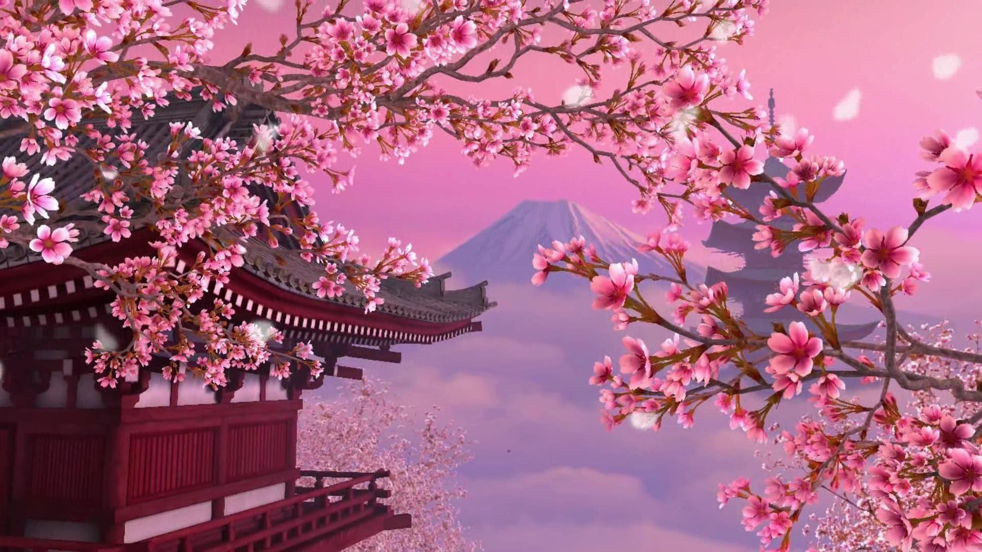 Cherry Blossom Anime Aesthetic Wallpapers - Wallpaper Cave