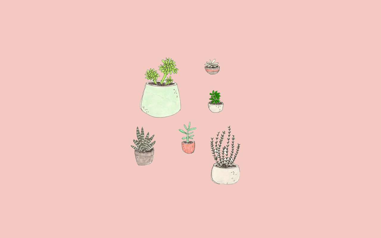 Aesthetic Succulents Wallpaper Free Aesthetic Succulents Background