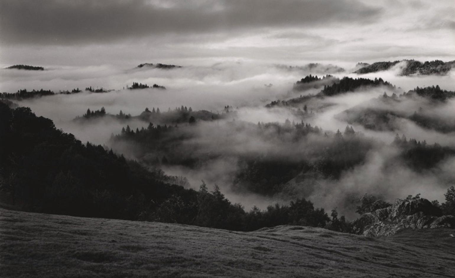 Wild mystique: Ansel Adams retrospective opens at Quintenz