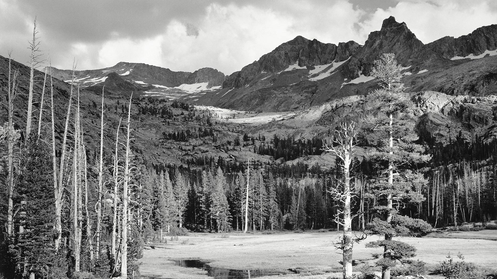 ansel adams HD wallpaper