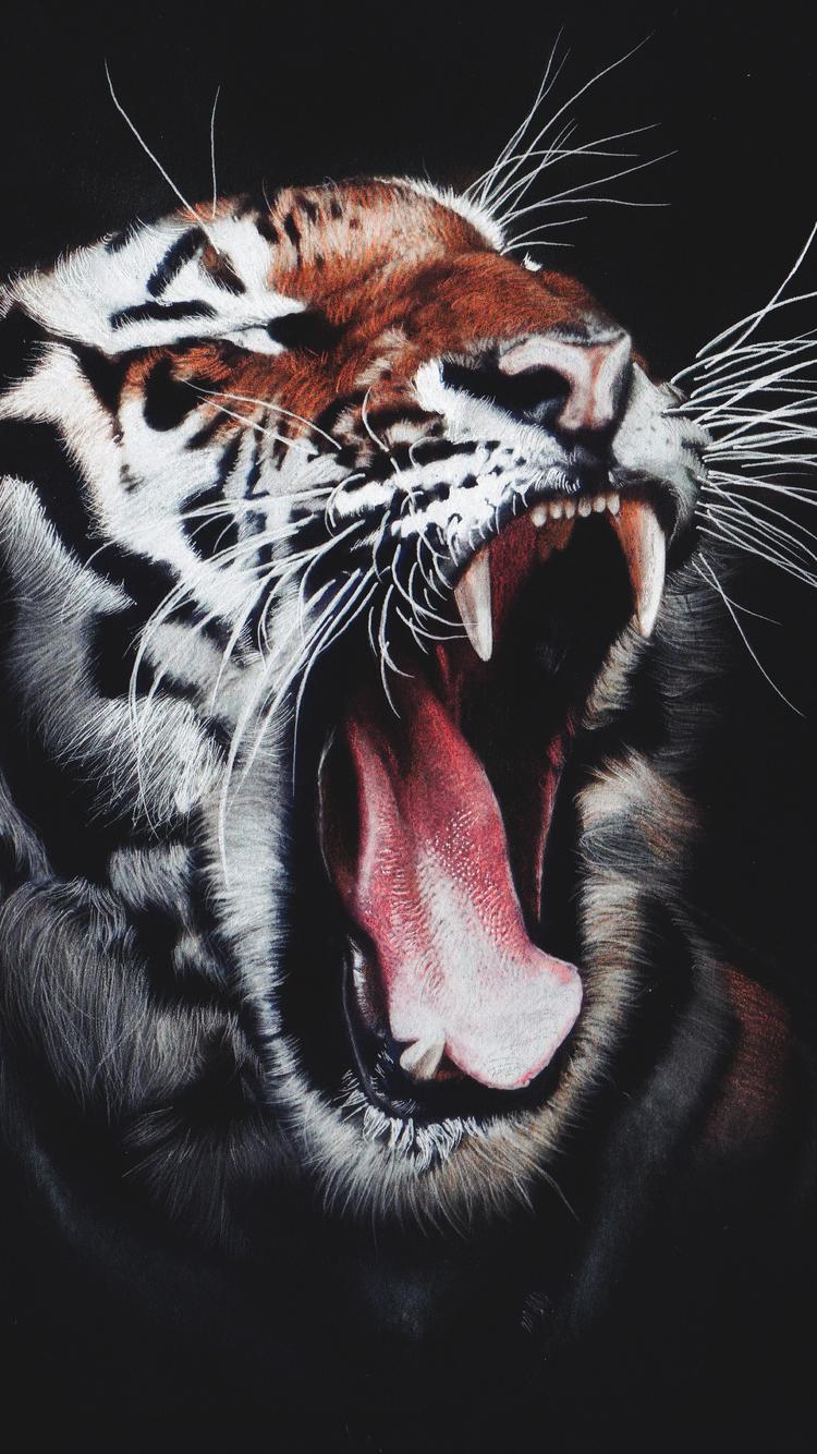 Tiger Roar iPhone iPhone 6S, iPhone 7 HD 4k
