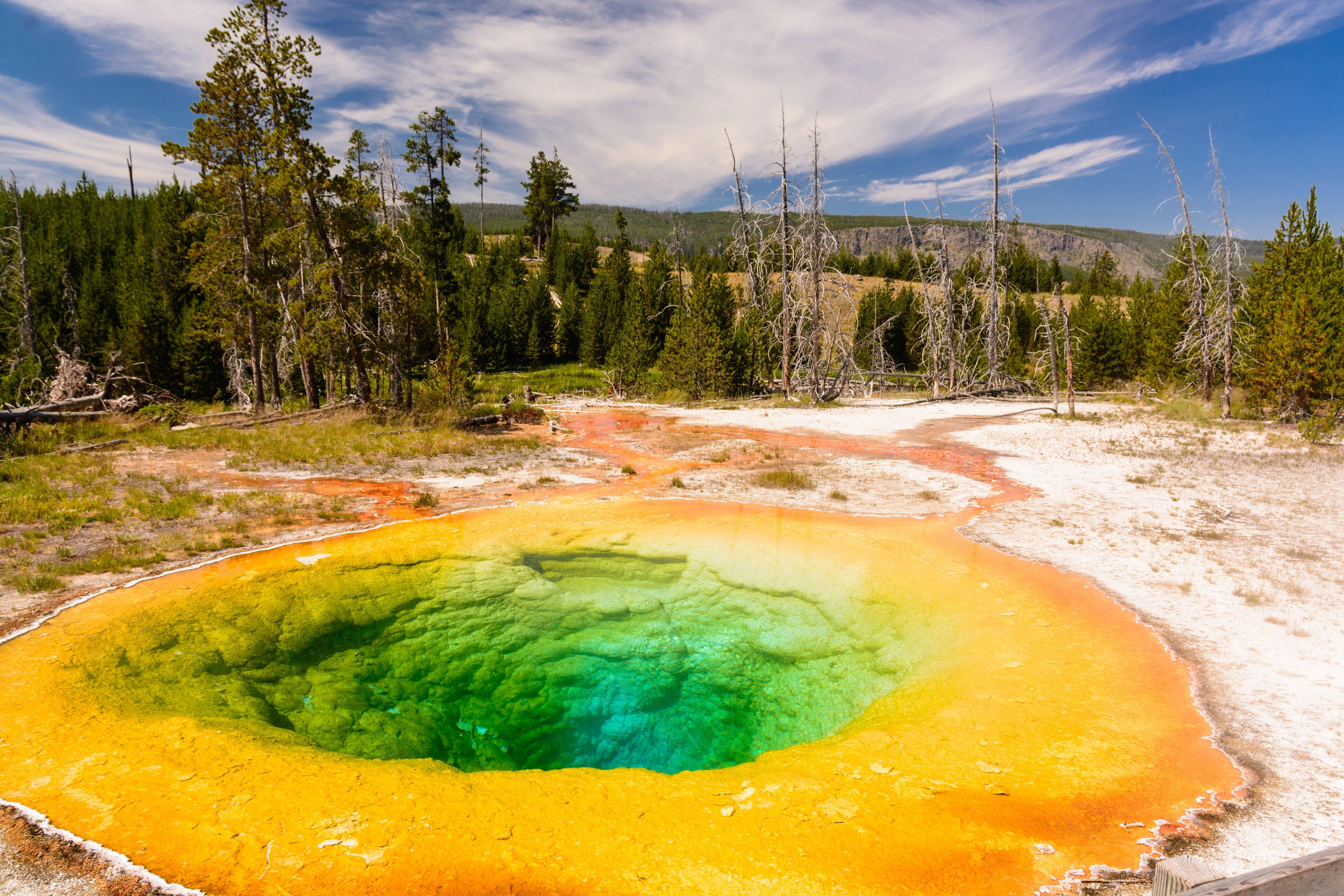 hot, Spring, Morning, Glory, Pool, Yellowstone, National