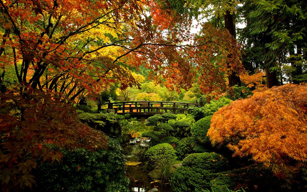 Portland Japanese Garden. Portland Photographer Blog