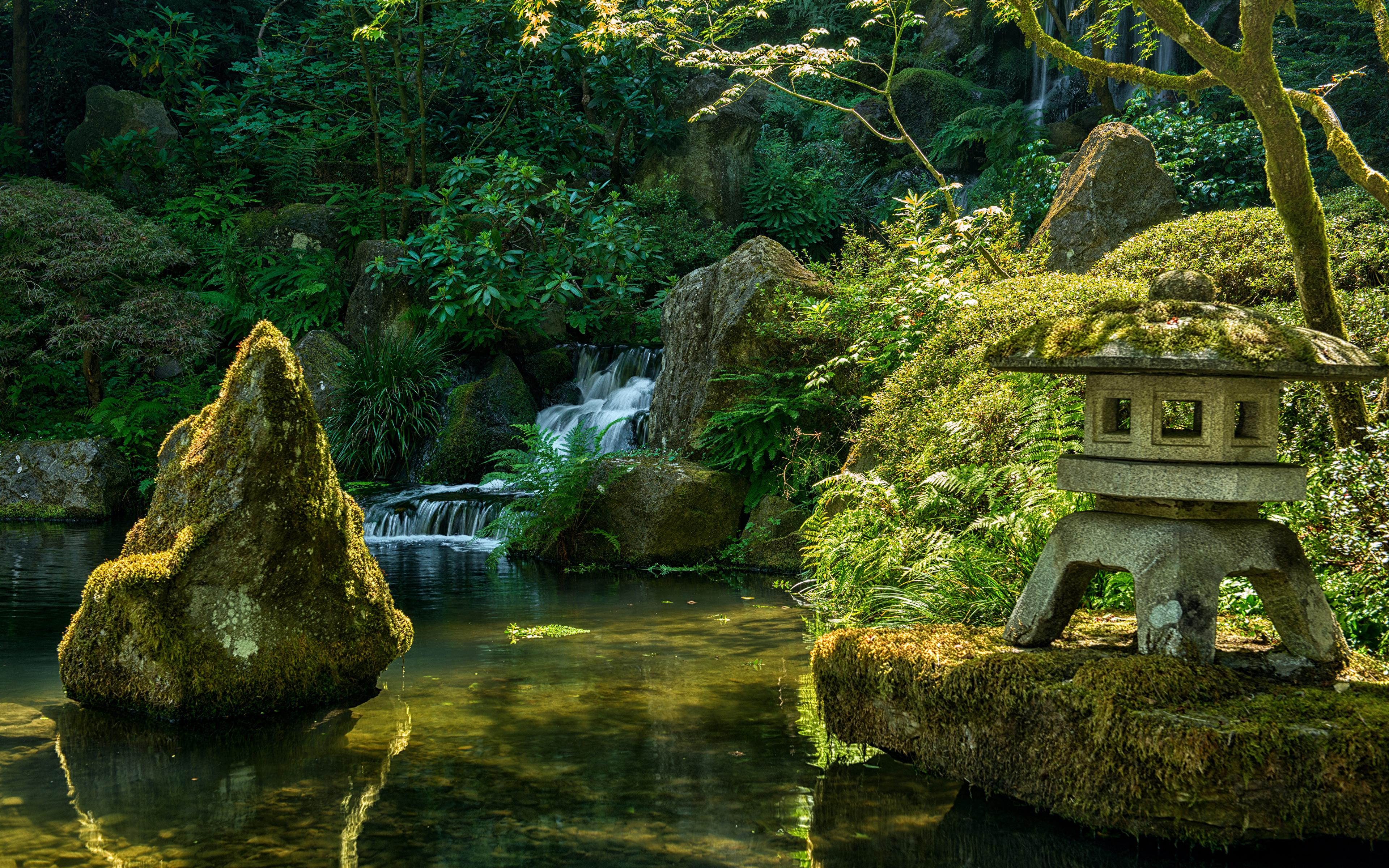Photo USA Japanese Garden Portland Nature Waterfalls Parks