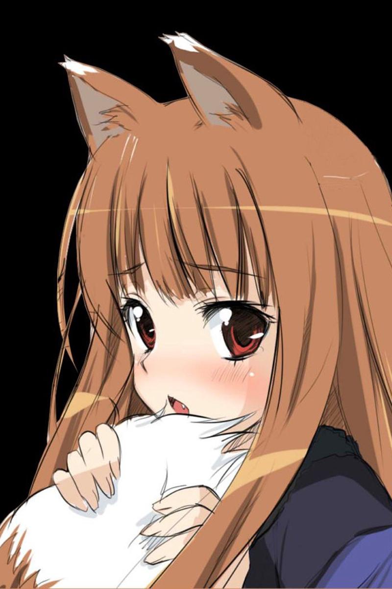 Download wallpaper 800x1200 anime, spice wolf, girl, ears