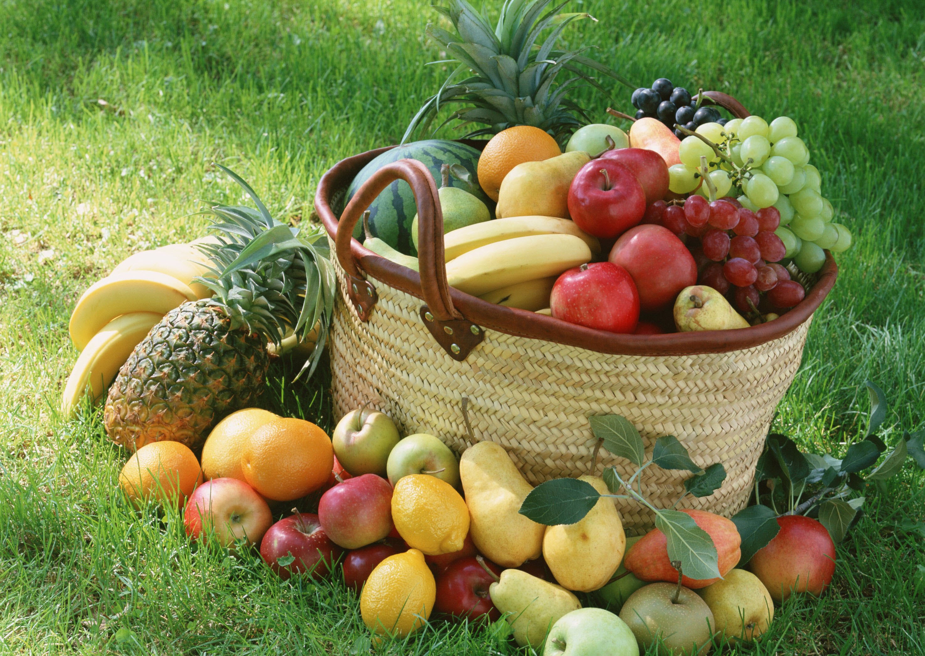 Fruit Basket HD Wallpaper. Background Imagex2094
