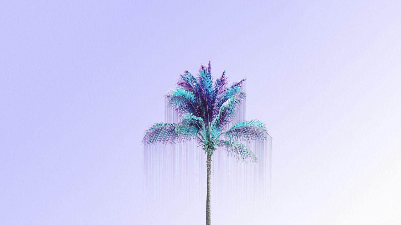 Lavender lilac blue palm tree desktop wallpaper background
