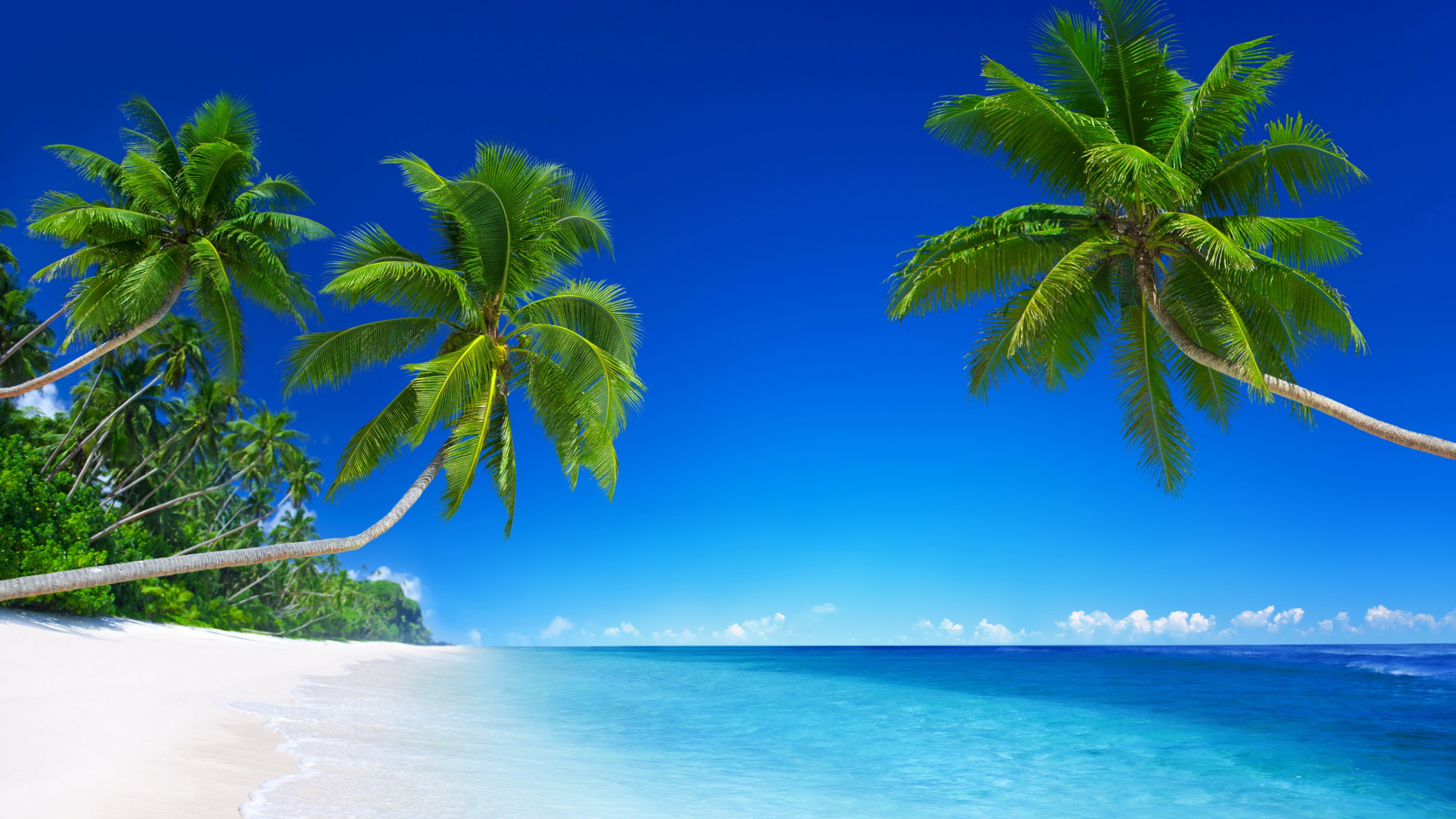 Wallpaper tropical beach, 5k, 4k wallpaper, 8k, paradise, palms, sea, blue, Nature