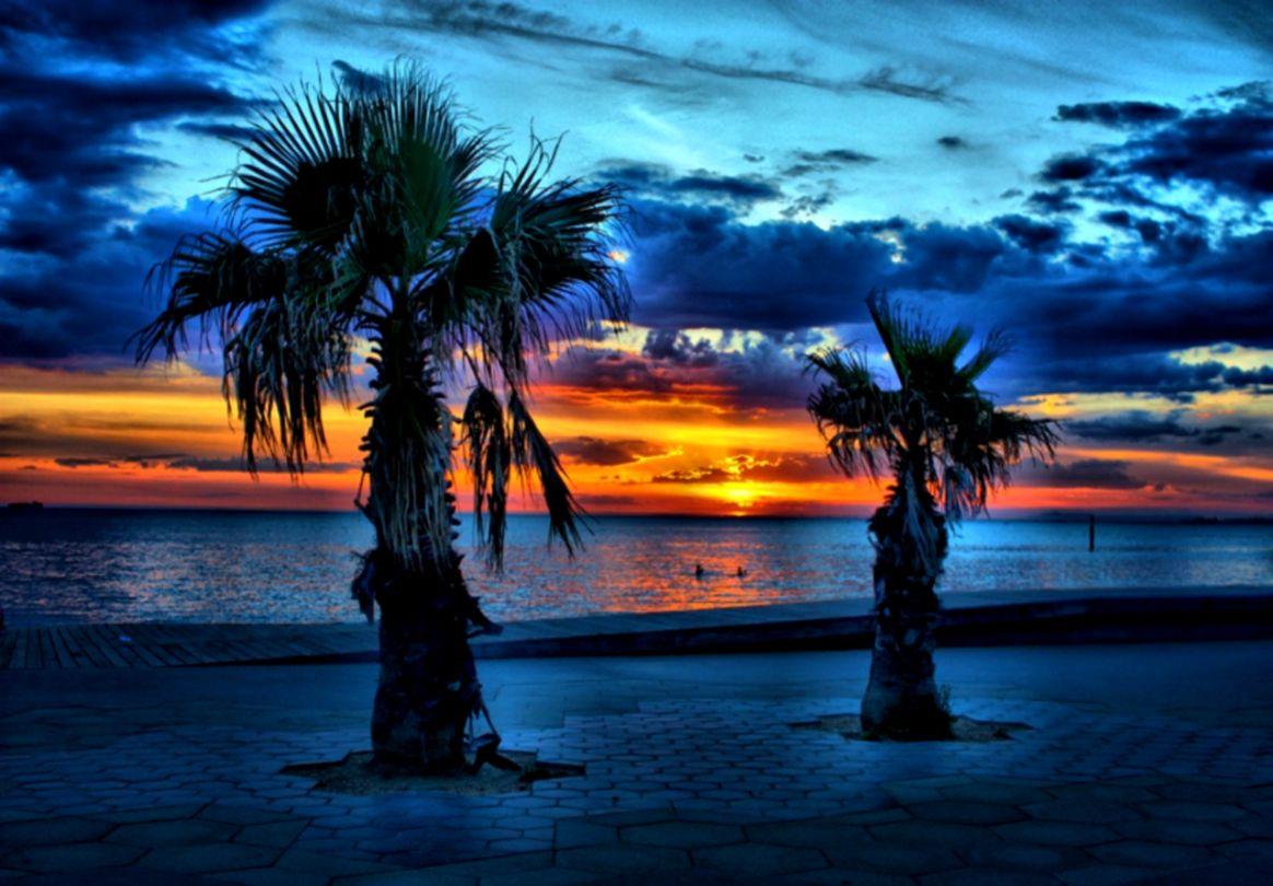 Sunset Palm Tree Wallpaper