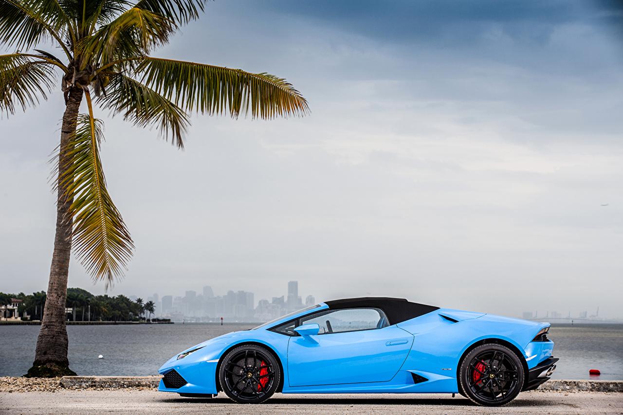 Picture Lamborghini Light Blue Palms Side Metallic automobile