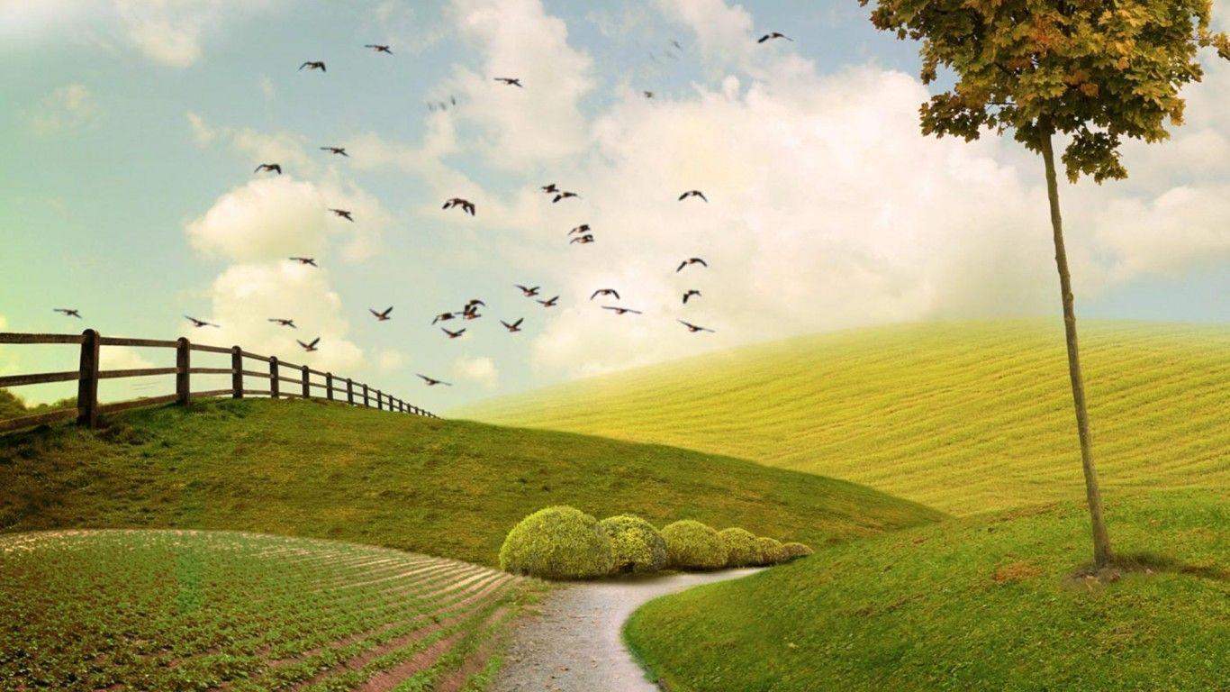 Owl City Wallpaper Owl City