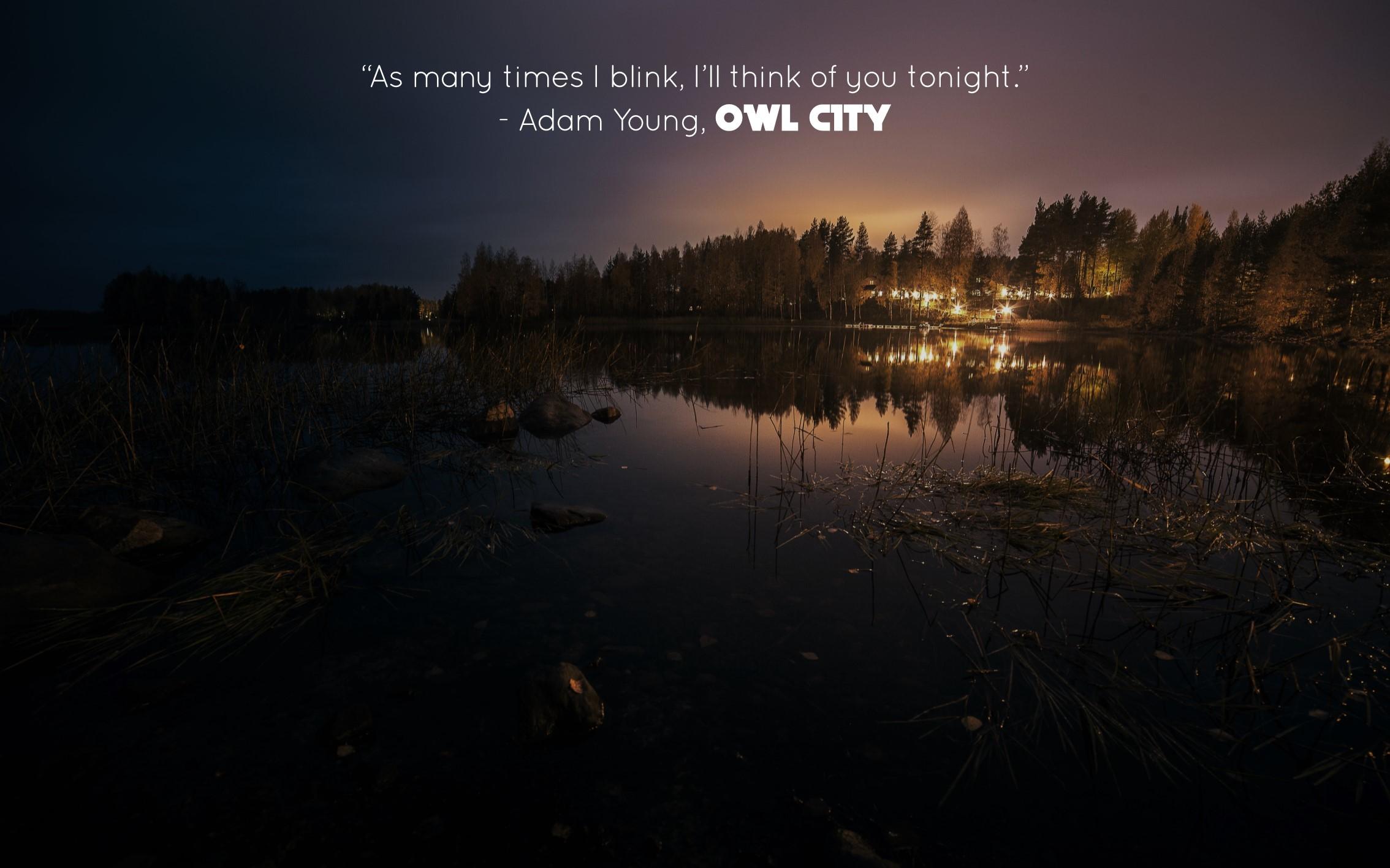 Owl City Background