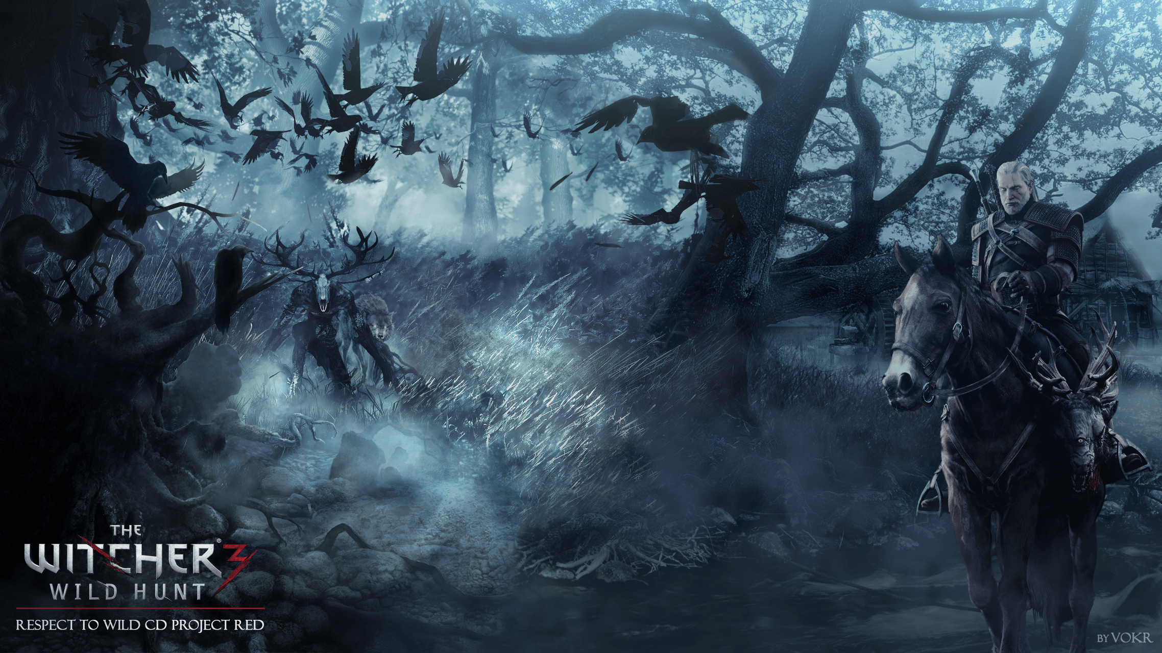 The Witcher 3 Wild Hunt HD Wallpaper (4)