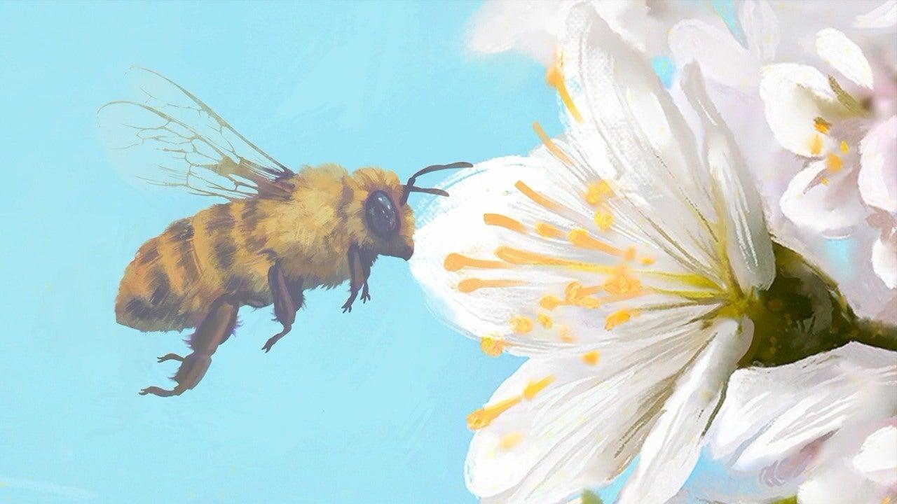 Bee Simulator Is Like For Honor With Butt Swords