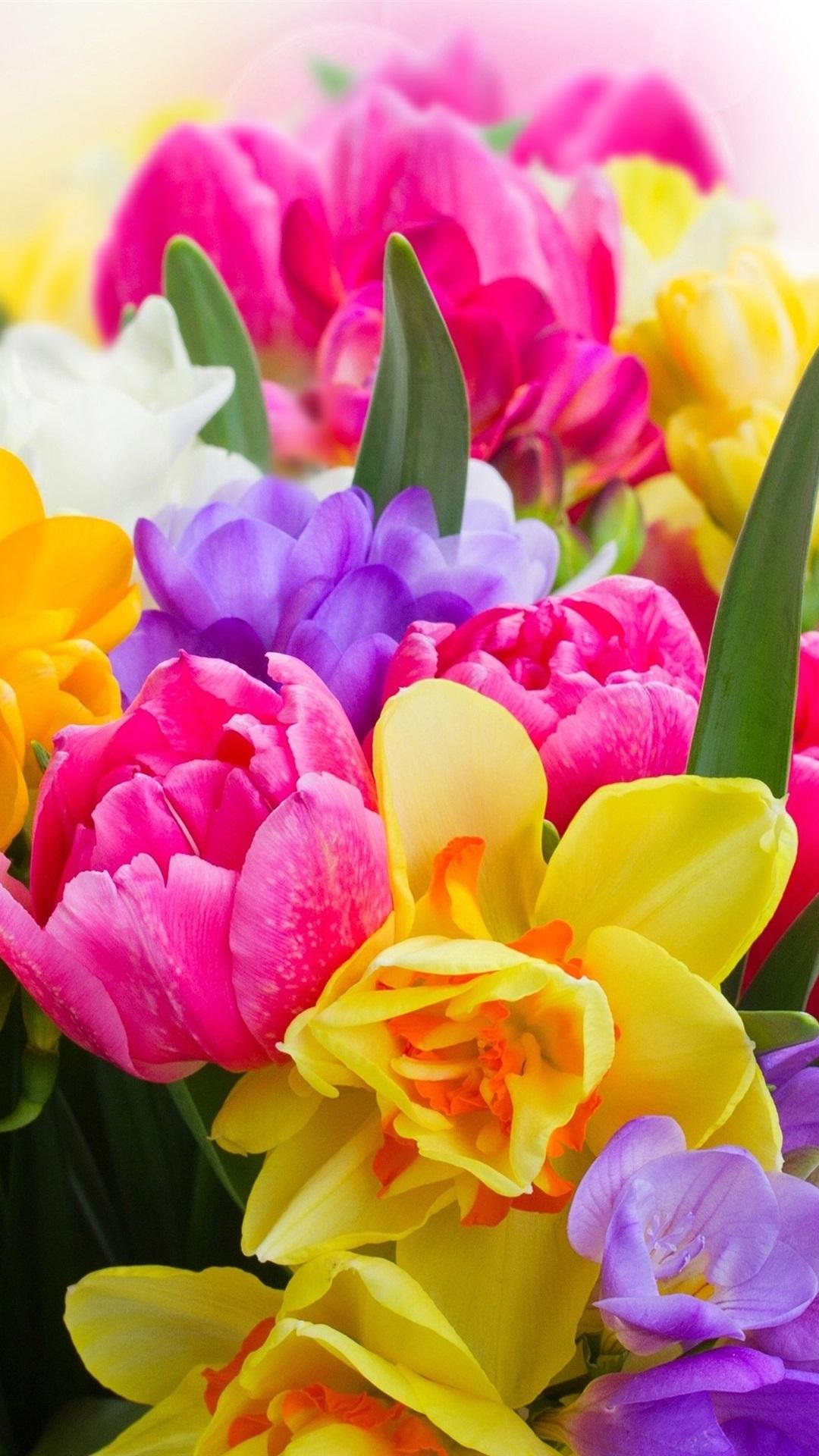 Colorful flowers, daffodils, tulips, freesia 1080x1920