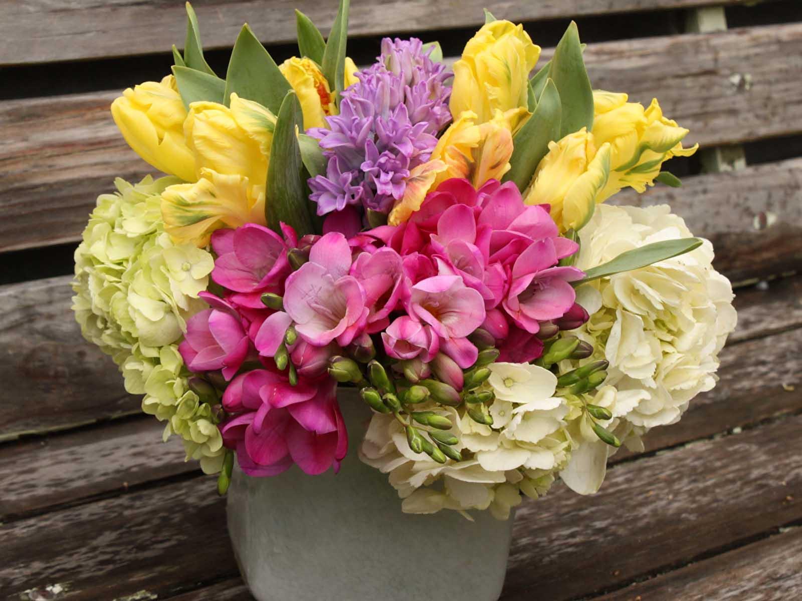 Freesia Flowers HD Wallpaper