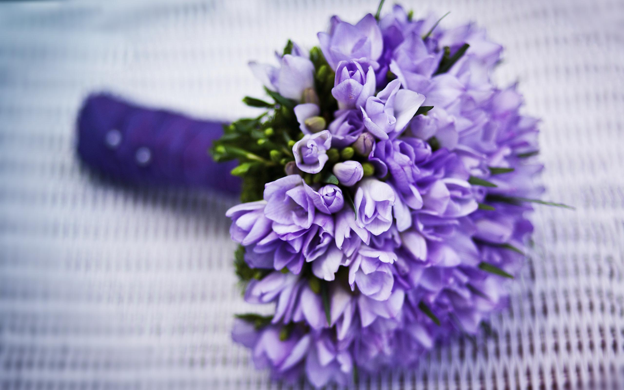 Freesias Wallpapers - Wallpaper Cave