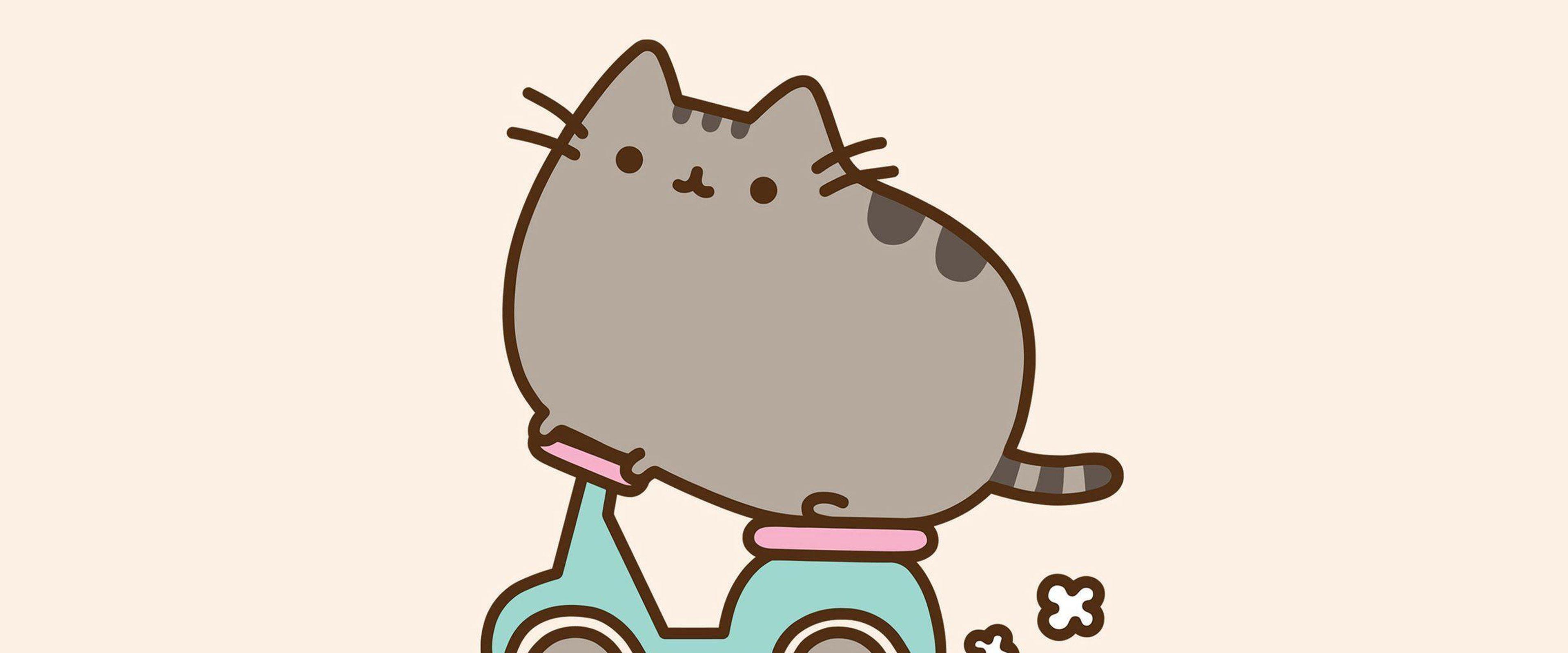 Download Cute Pusheen Cat Over Bike For Uw4k Wallpaper
