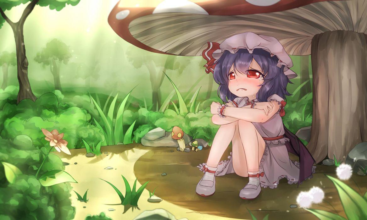 Touhou crying dress flowers hat loli purple hair red eyes