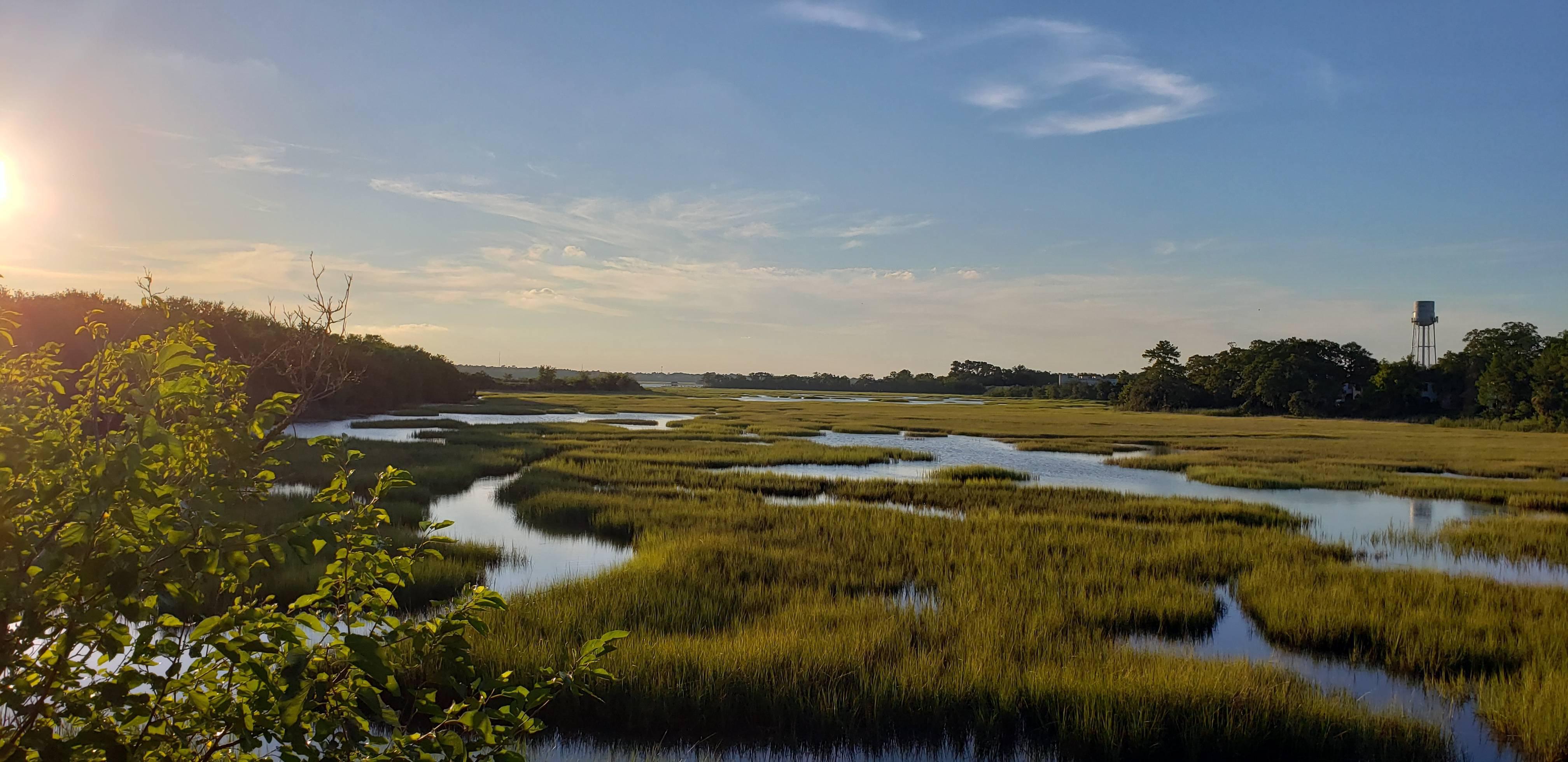 Marsh Wallpapers - Wallpaper Cave