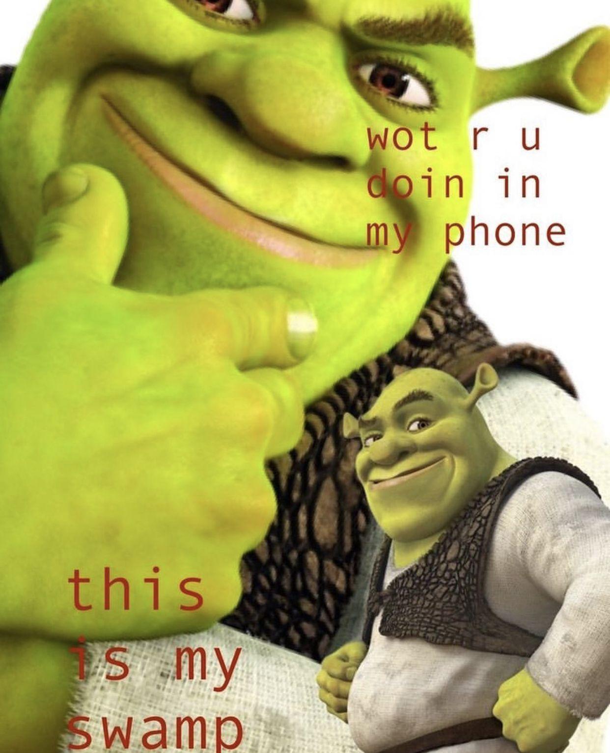 ShReK #shrekwallpaper #shrek #meme