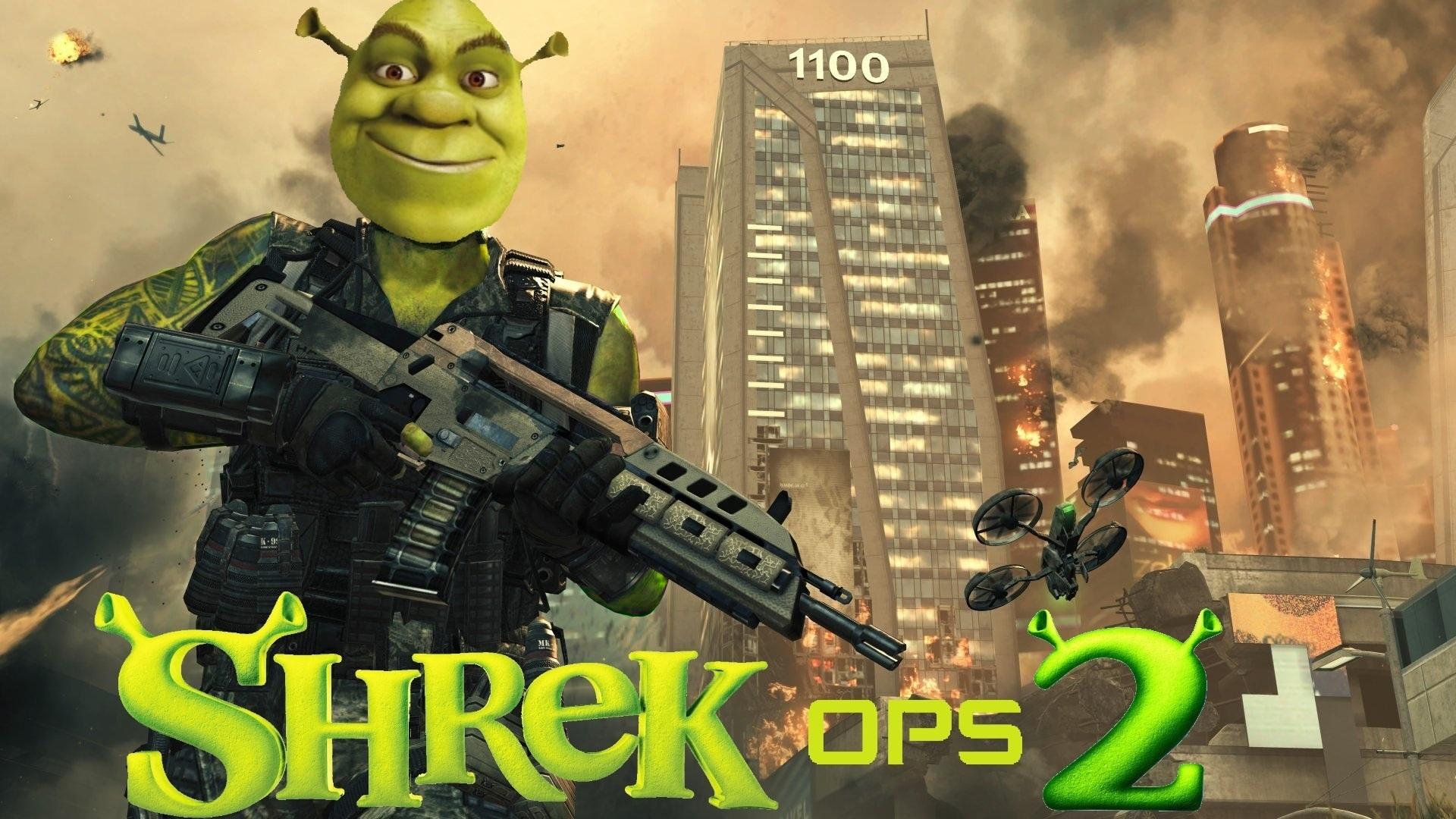 Shrek Meme Funny Wallpaper 74150 1920x1080px