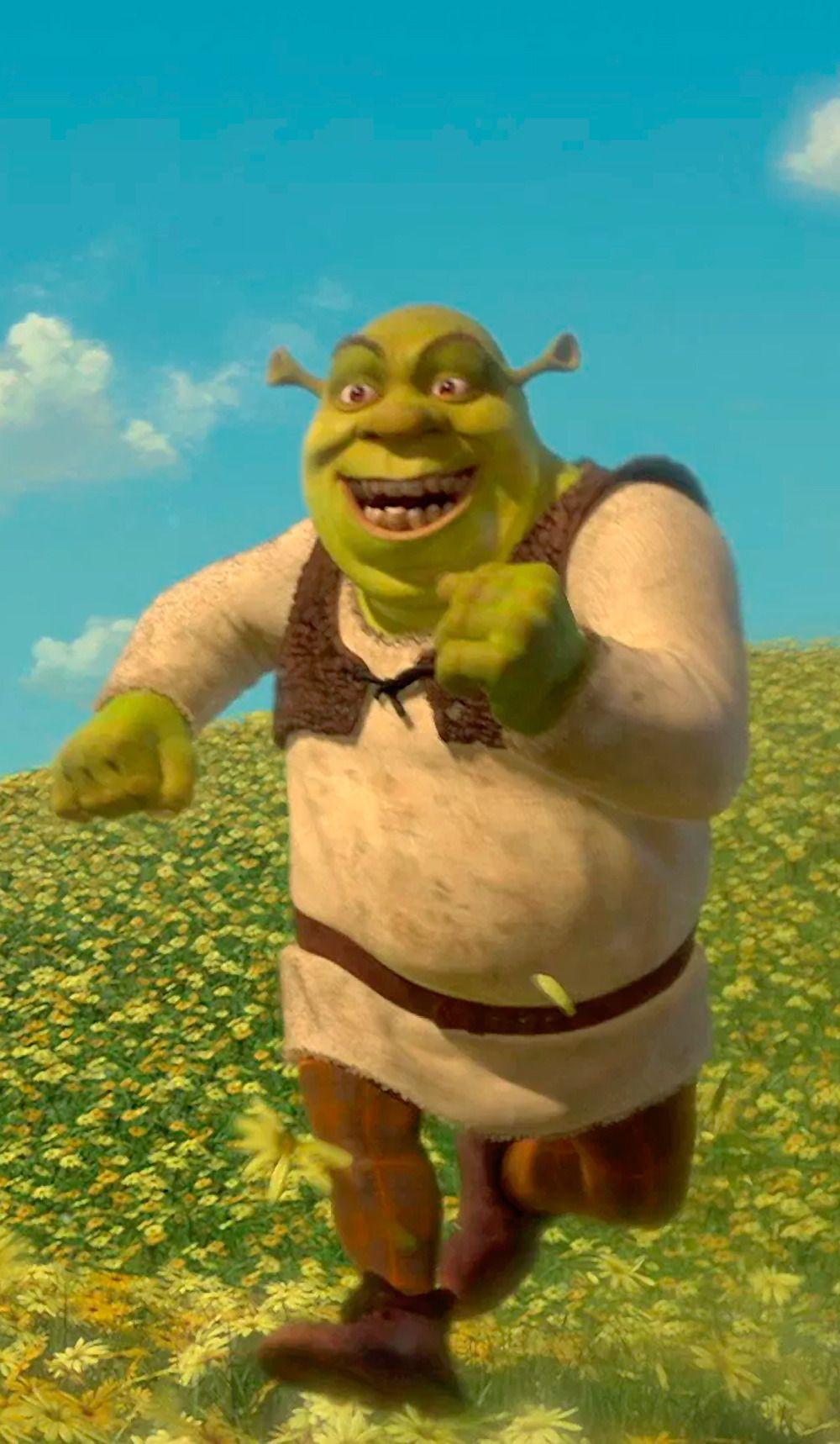 ShReK #shrekwallpaper #shrek #meme