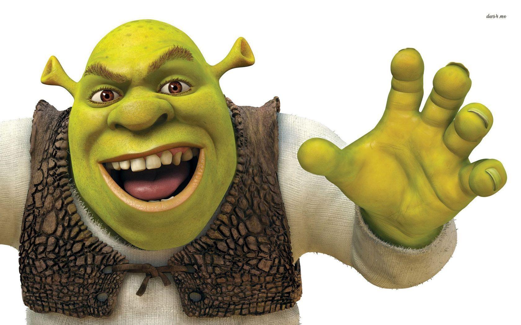 Shrek Meme Funny Wallpaper 74150 1920x1080px