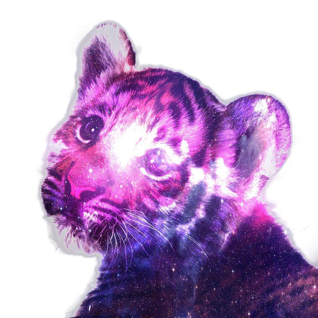 roblox purple tiger
