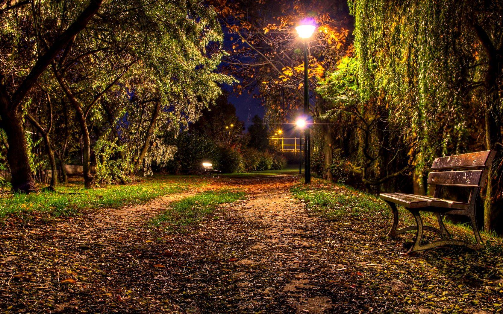 Romantic Lovely Autumn Benches Tree Trees Lantern Path