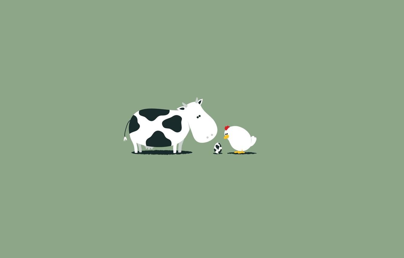 Wallpaper egg, cow, Minimalism, chicken image for desktop