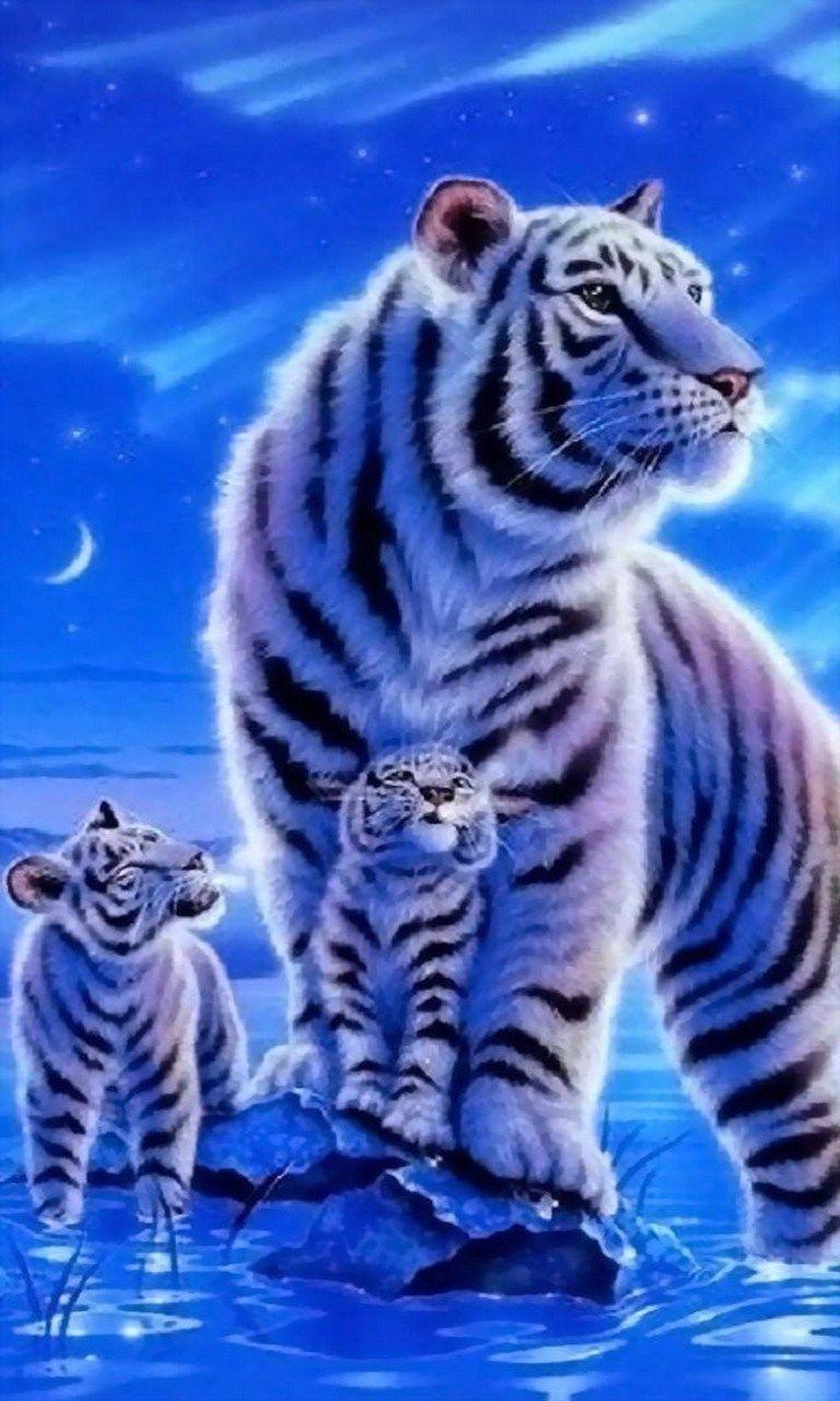 Cute Tiger Wallpaper Wallpaper. Tiger wallpaper, Cute tigers