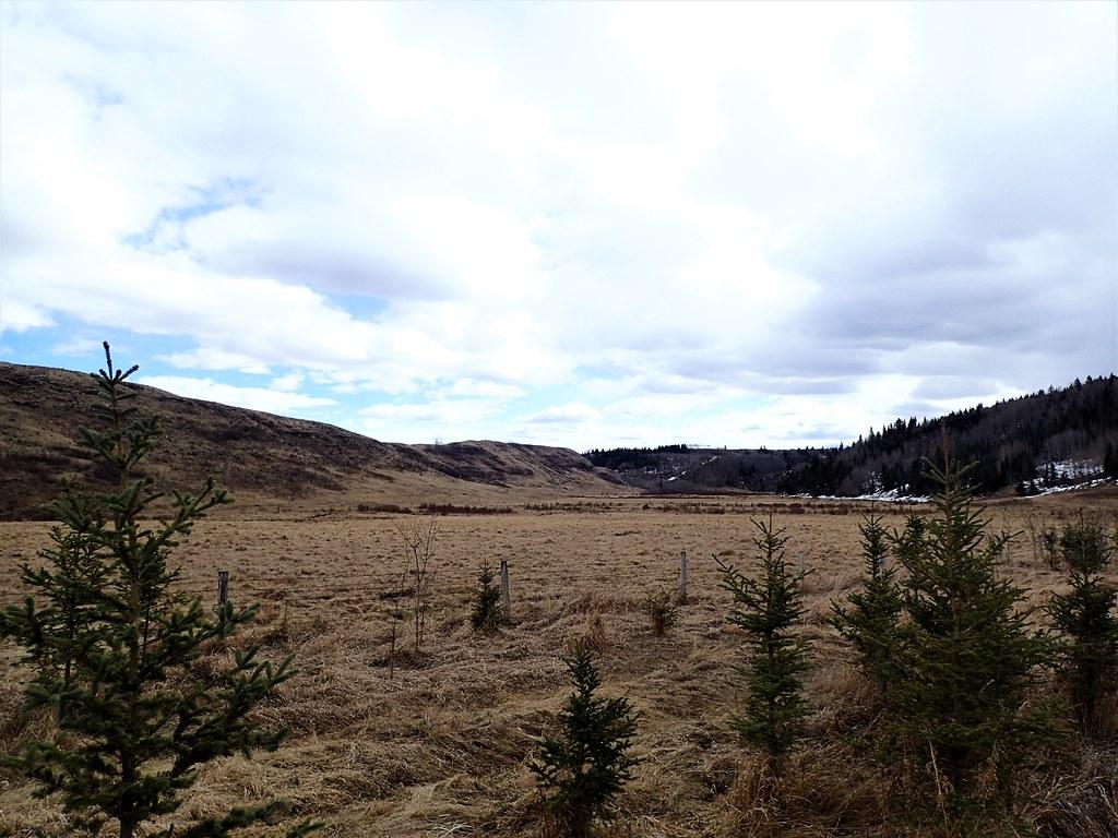 Big Hills Springs Provincial Park. Photo Credit: Tyler Dixo