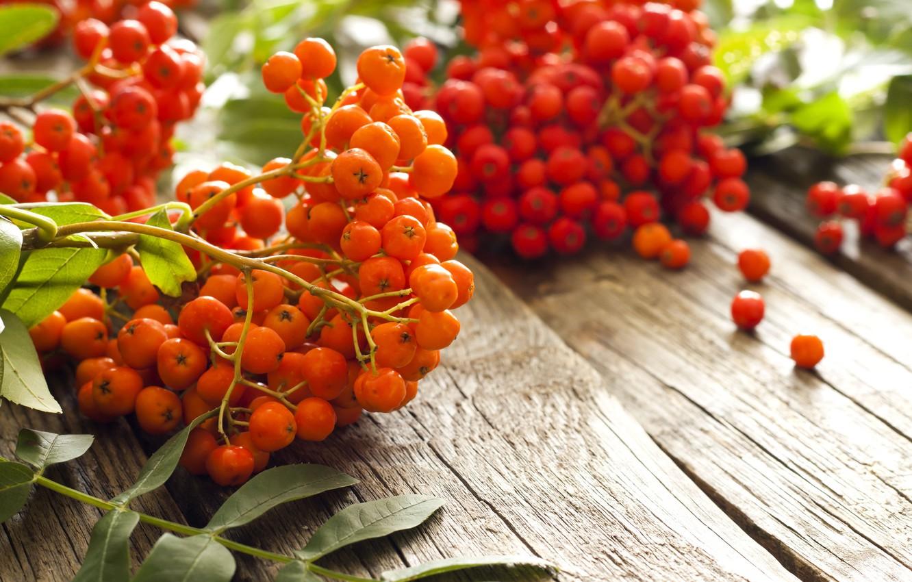 Wallpaper autumn, berries, table, blur, red, orange, Rowan