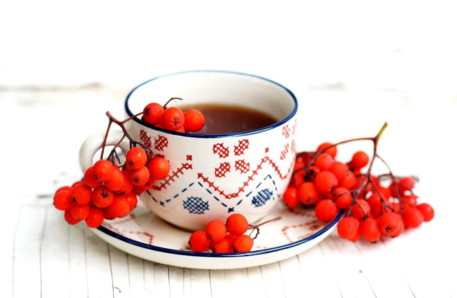 Tea Cup Rowan Berries Autumn HD Wallpaper. Inspiration