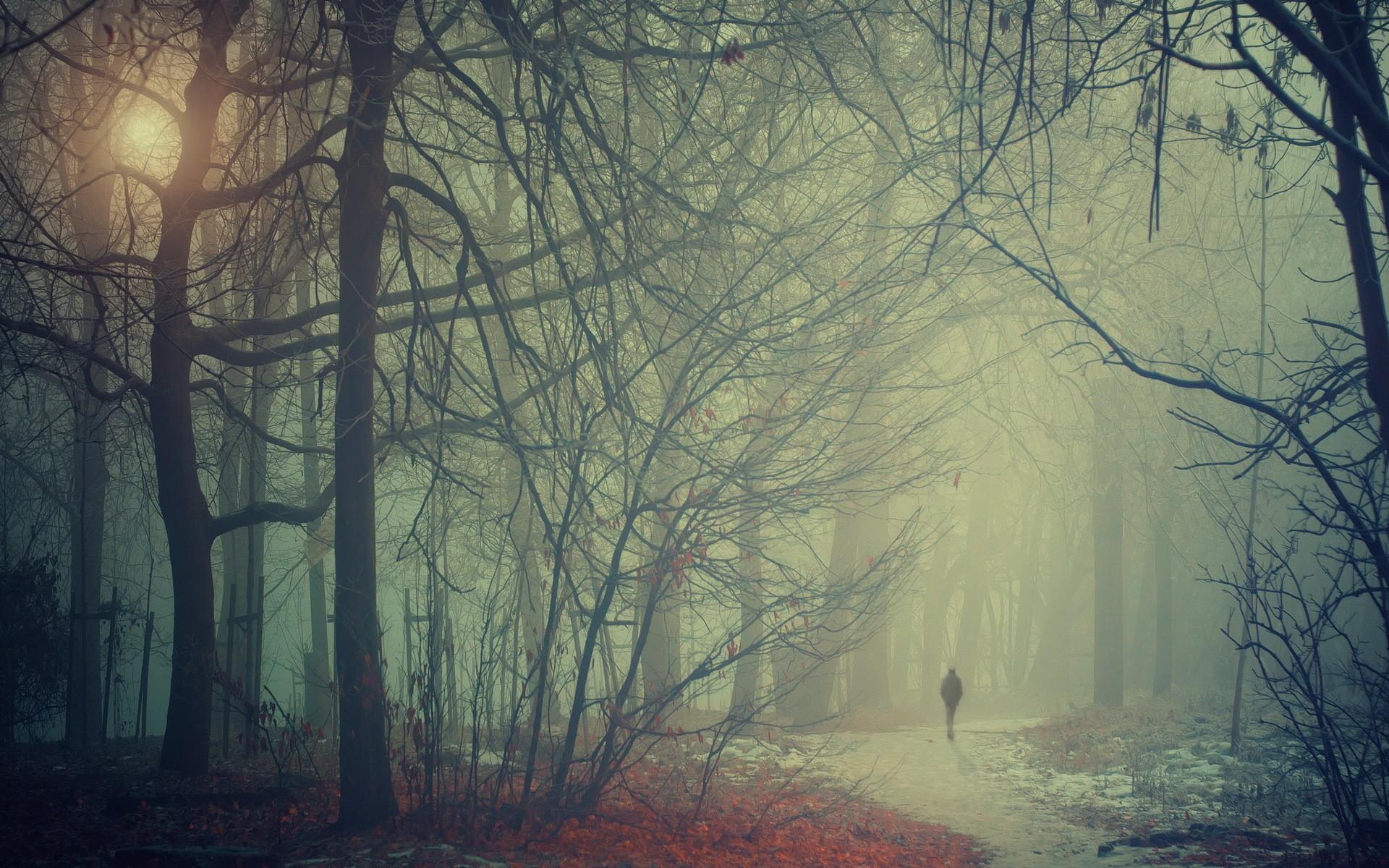 Misty Morning Wallpaper High Quality