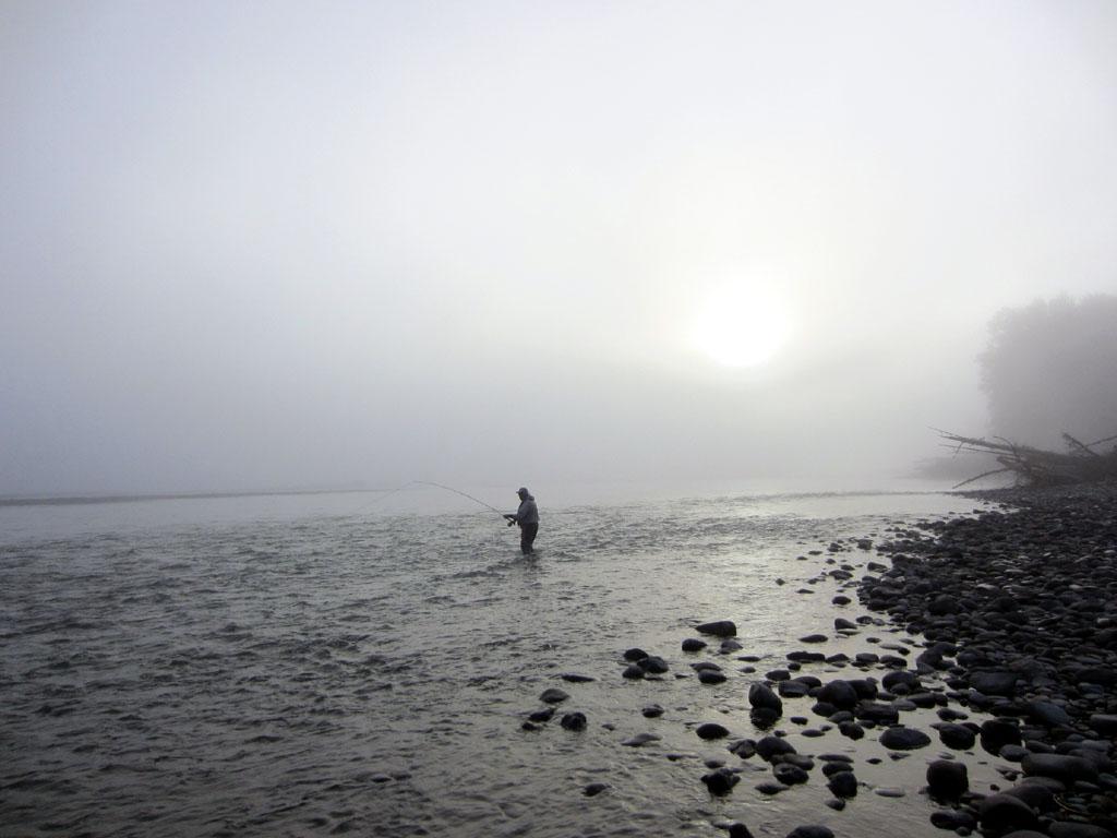 12th Sept Misty Morning Web River Lodge