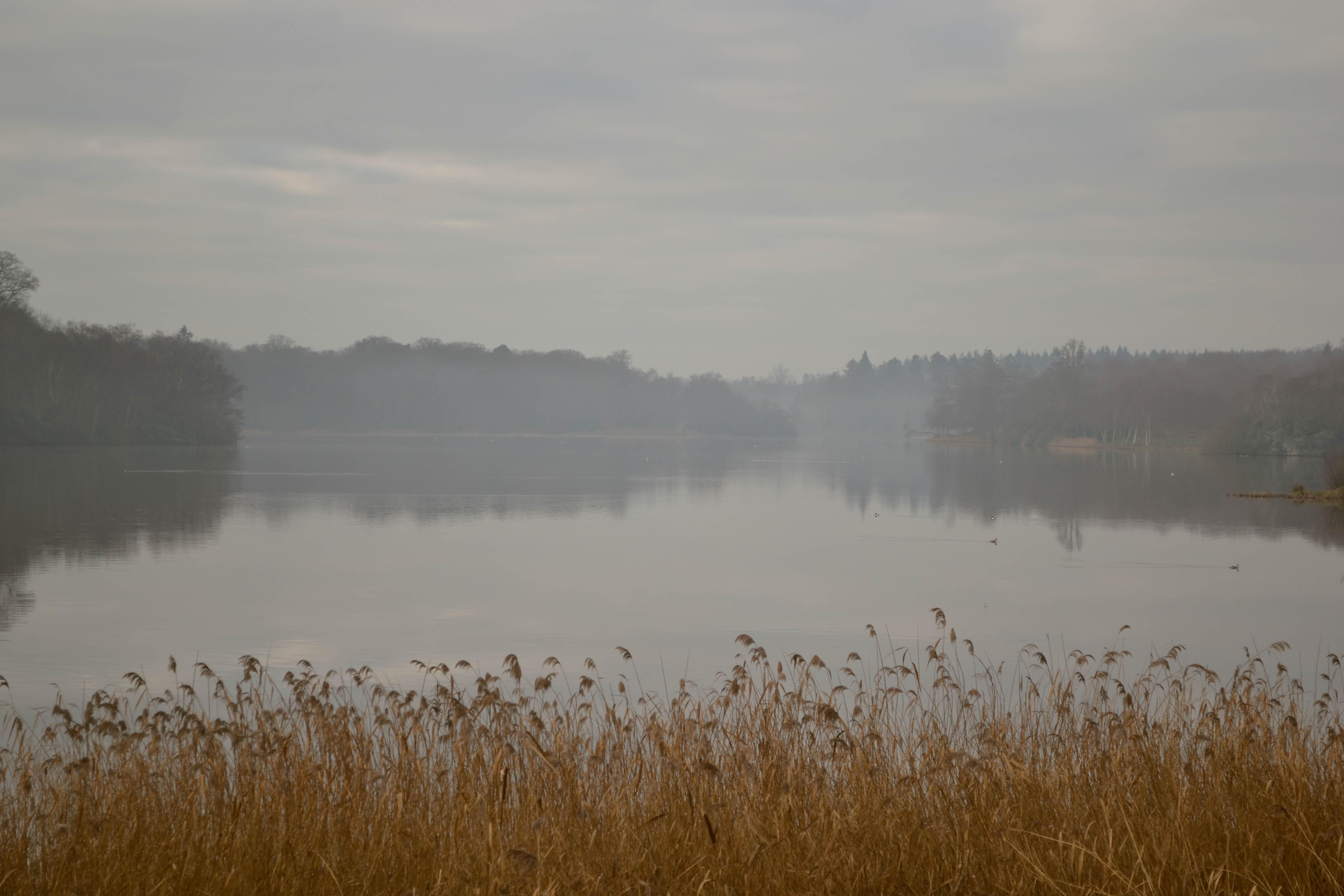 misty 4K wallpaper for your desktop or mobile screen free