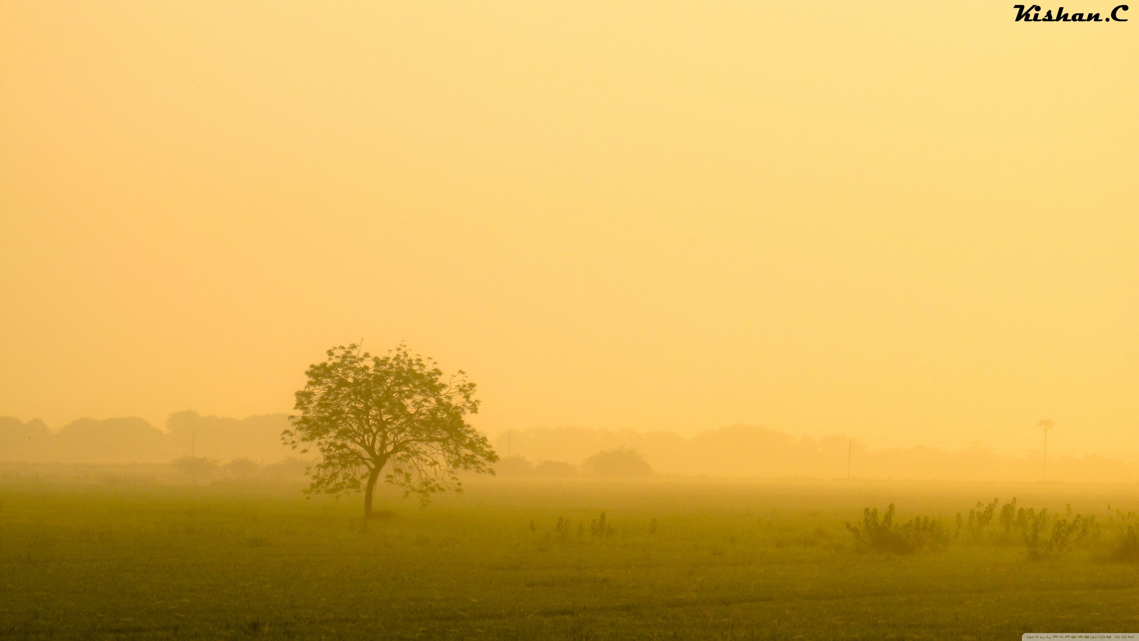 Misty Morning. ❤ 4K HD Desktop Wallpaper for 4K Ultra HD TV